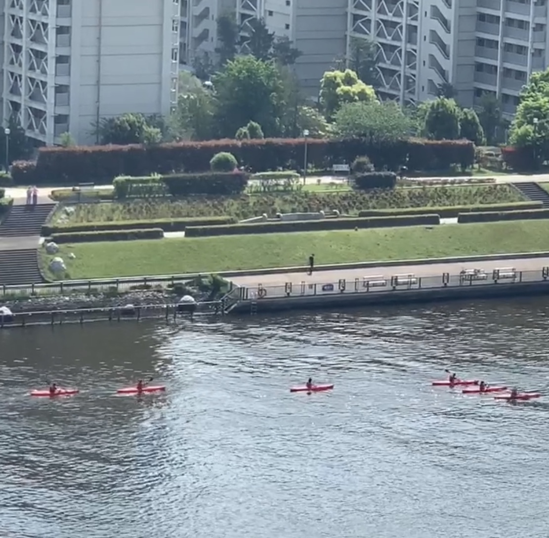 気分は夏⛵️夏