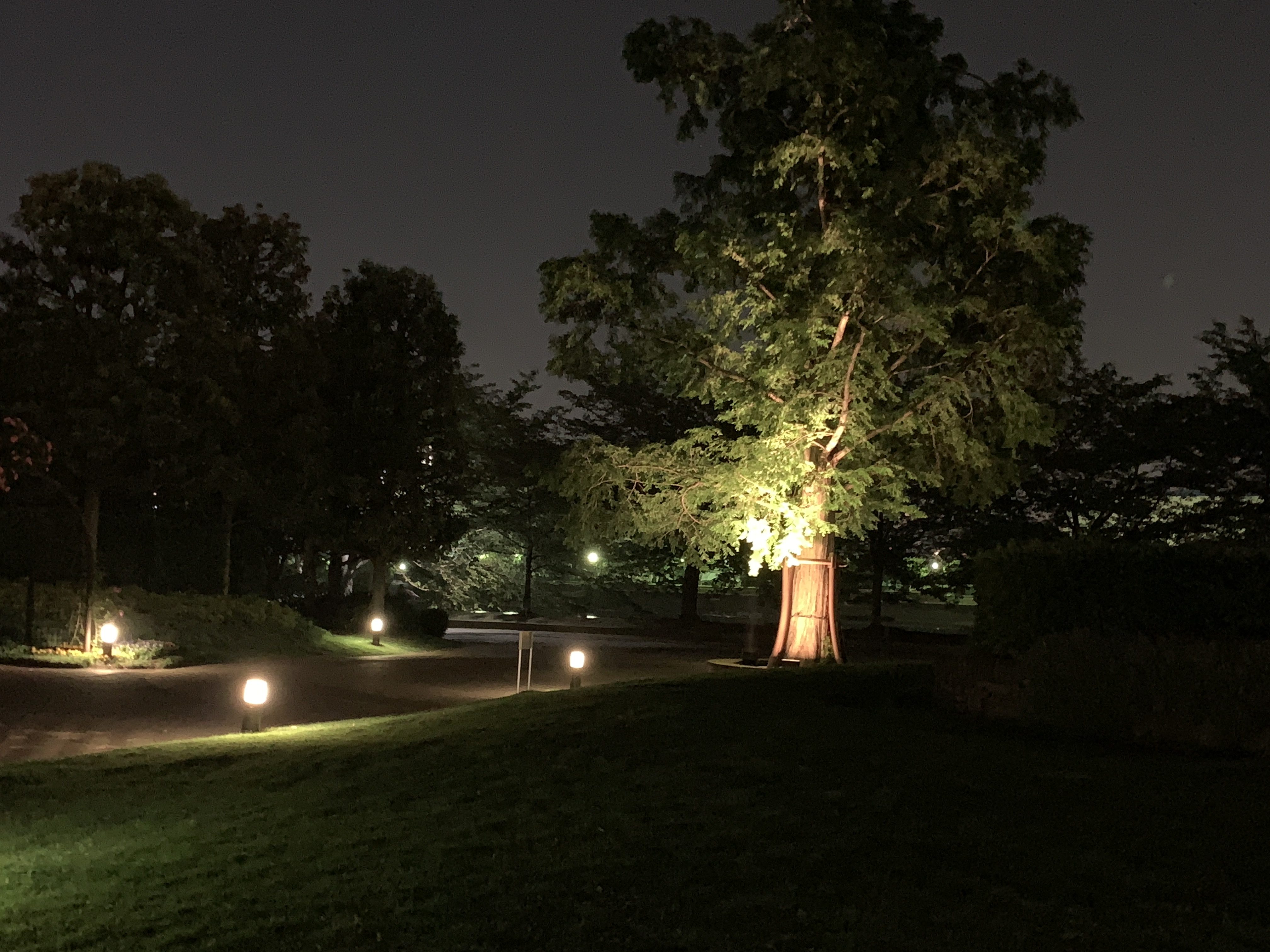 夜風に吹かれて🍃