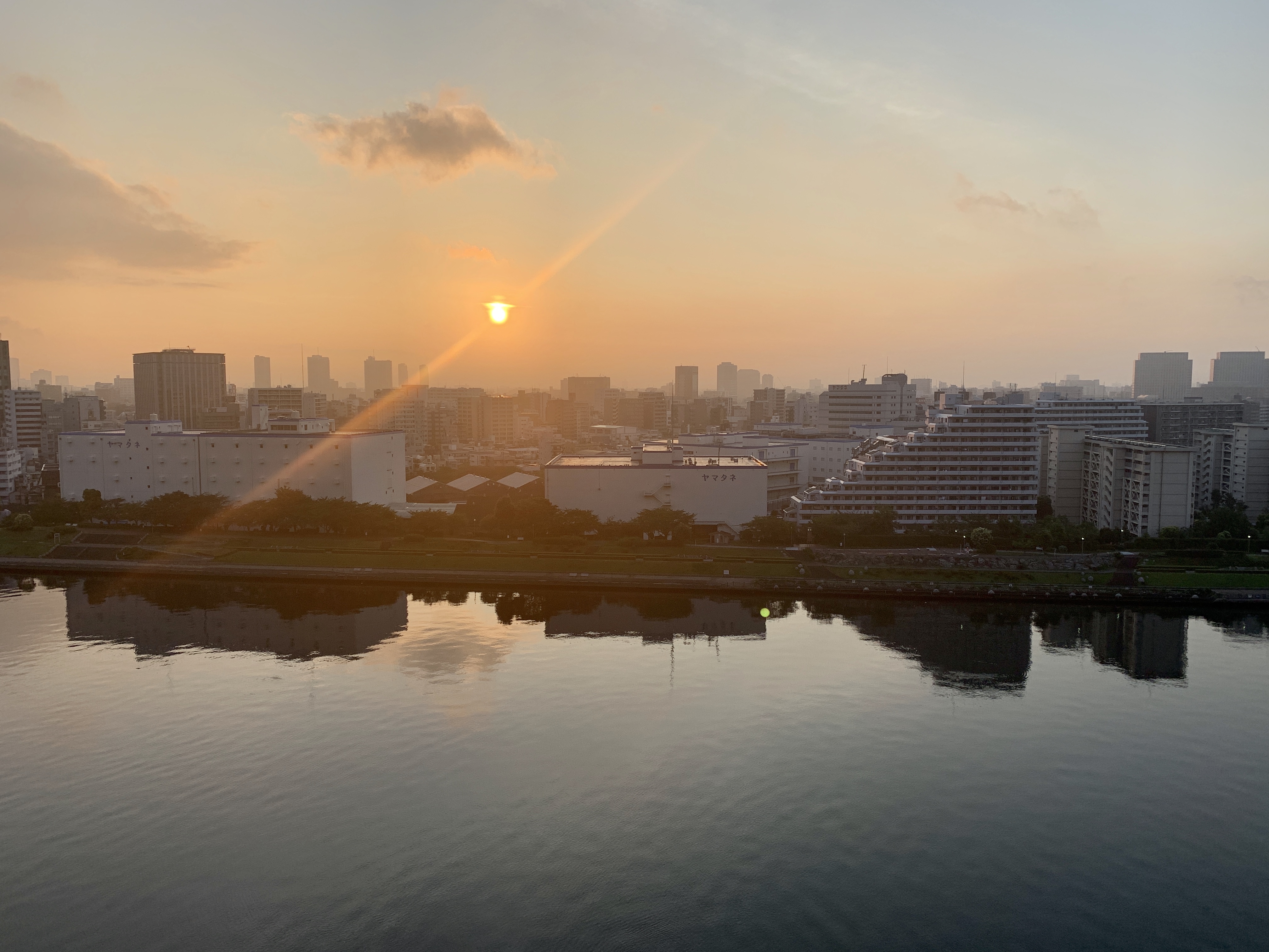 オレンジの夜明け・嫌な人は自分の鏡☀️