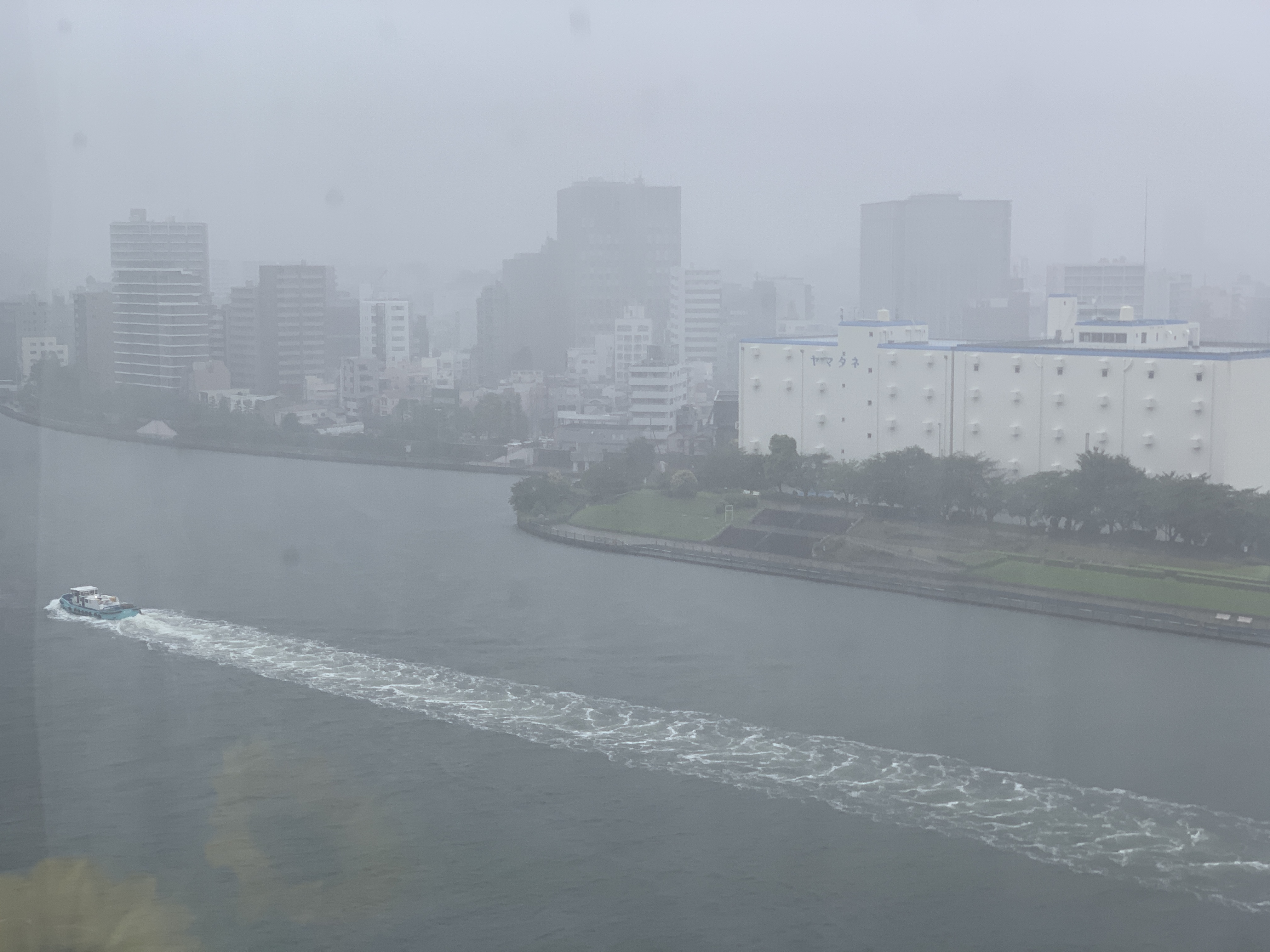 急に強風と雷雨☂️