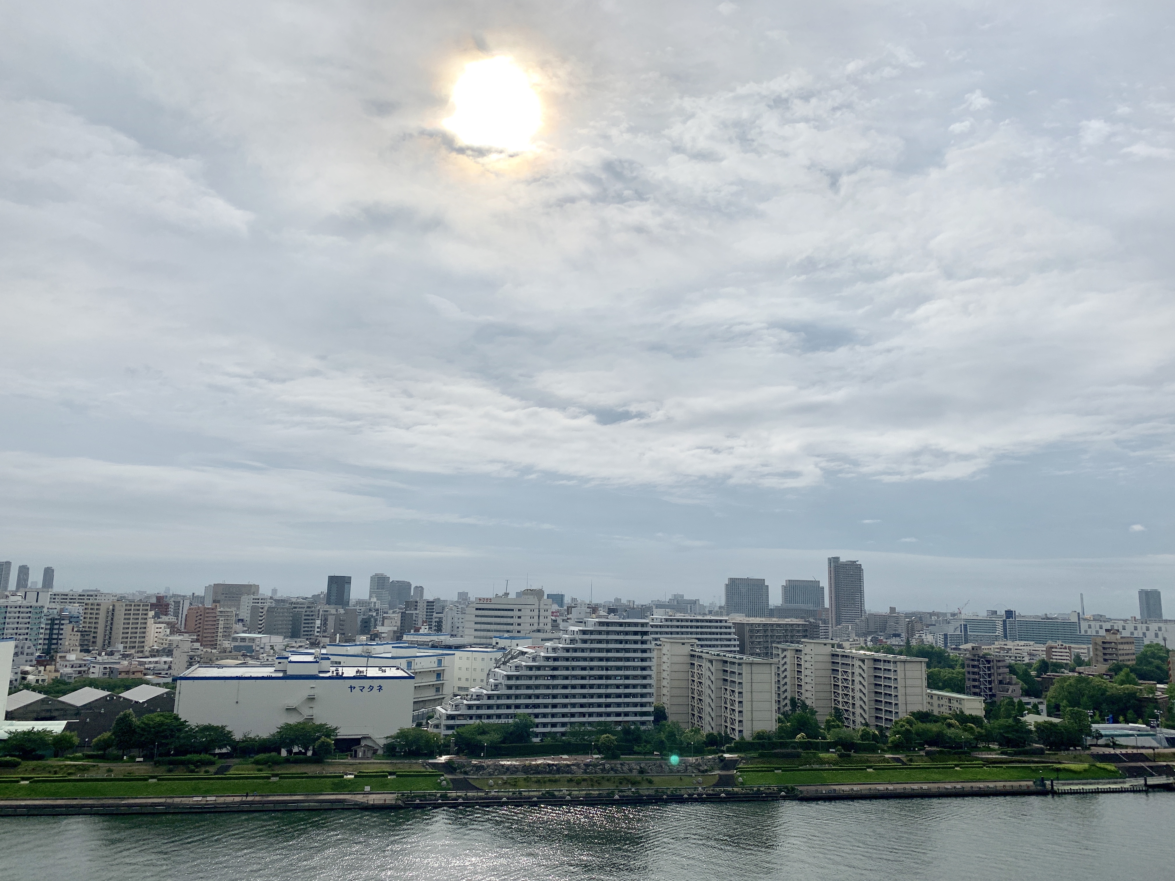 晴れてきました・「自分のリズムを取り戻そう」