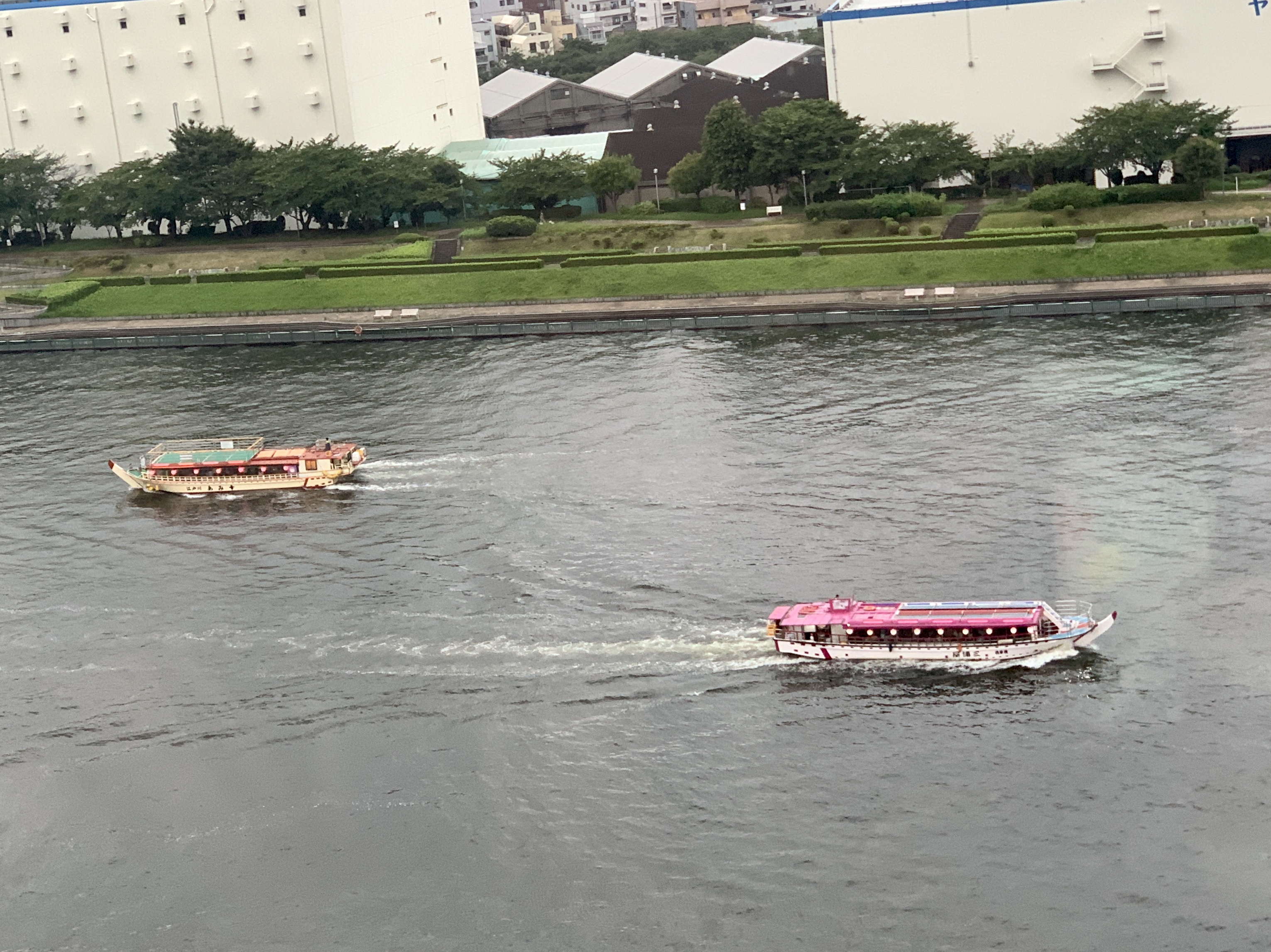 屋形船も大忙し⛴