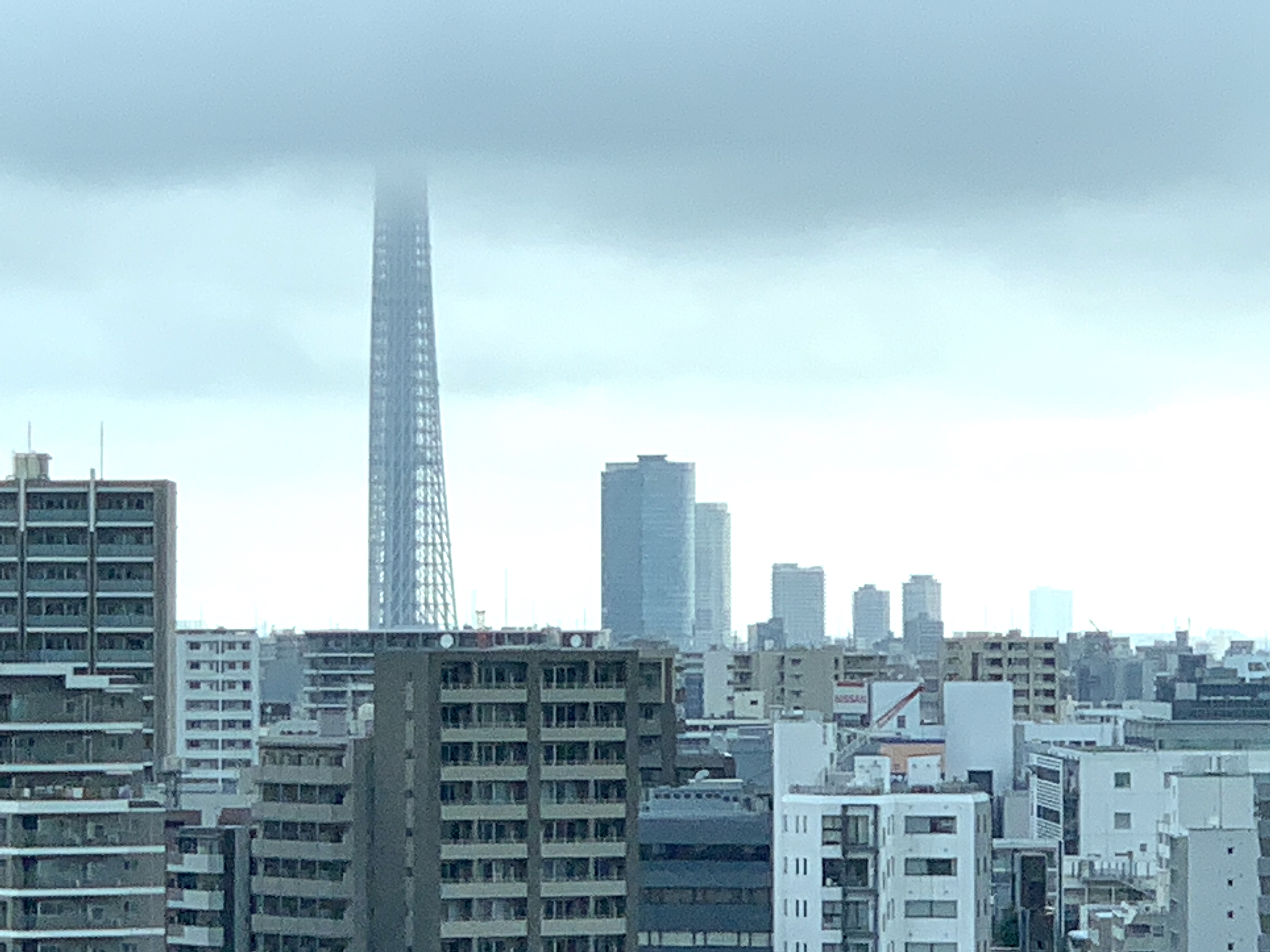 スカイツリーが雲の中・「見守る」🗼