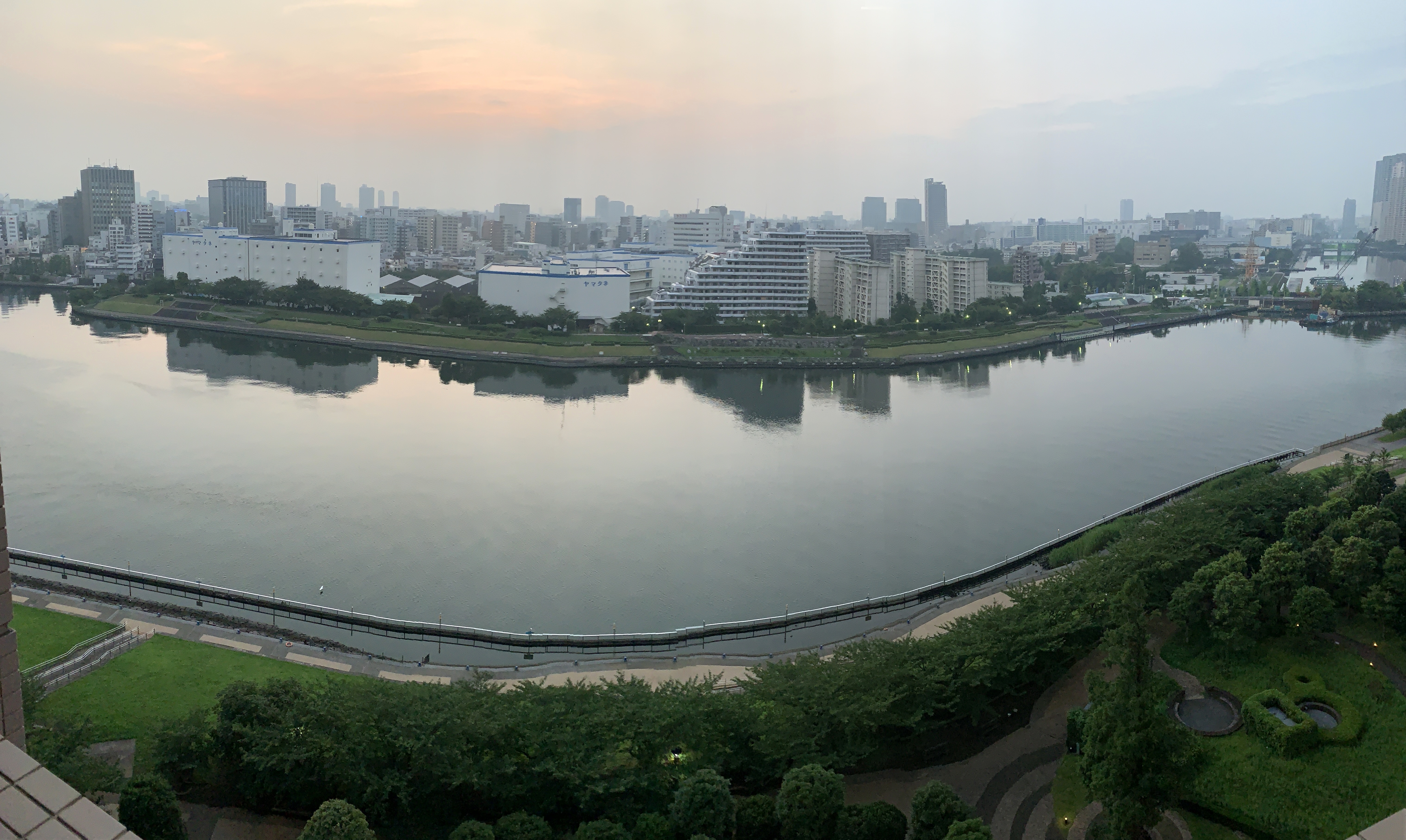 蝉の大合唱「直感」💫