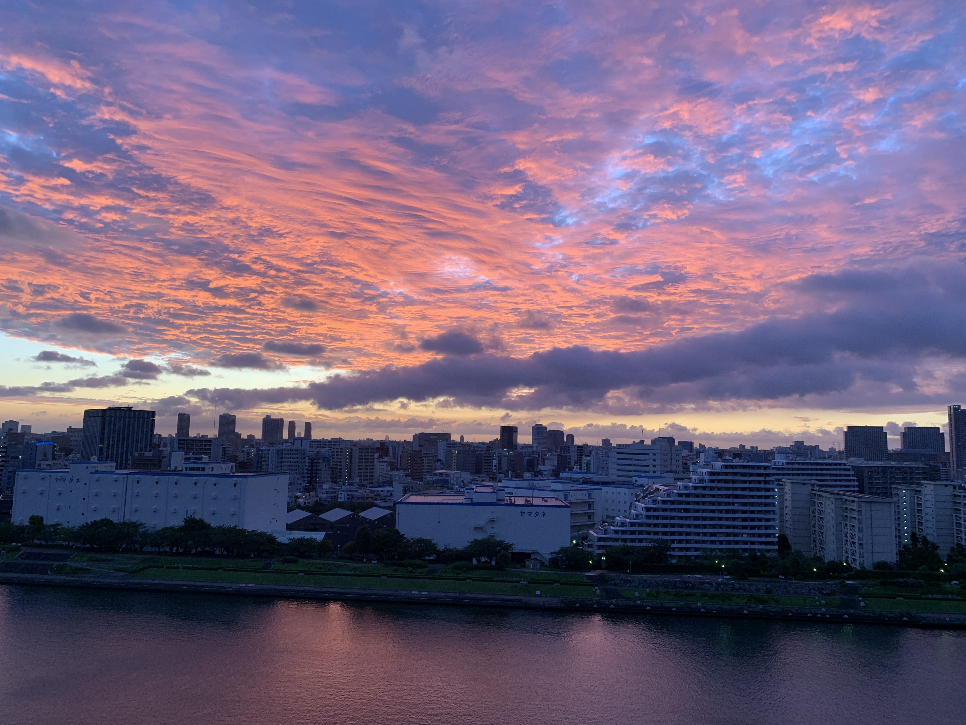 萌えるピンクのうろこ雲「幸運の習慣」💞