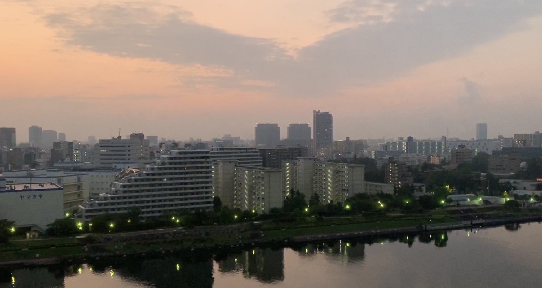 ピンクとグレーの夜明けに鳥雲