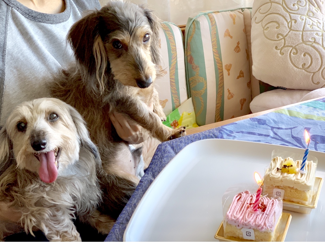 マーゴ４歳のお誕生日会