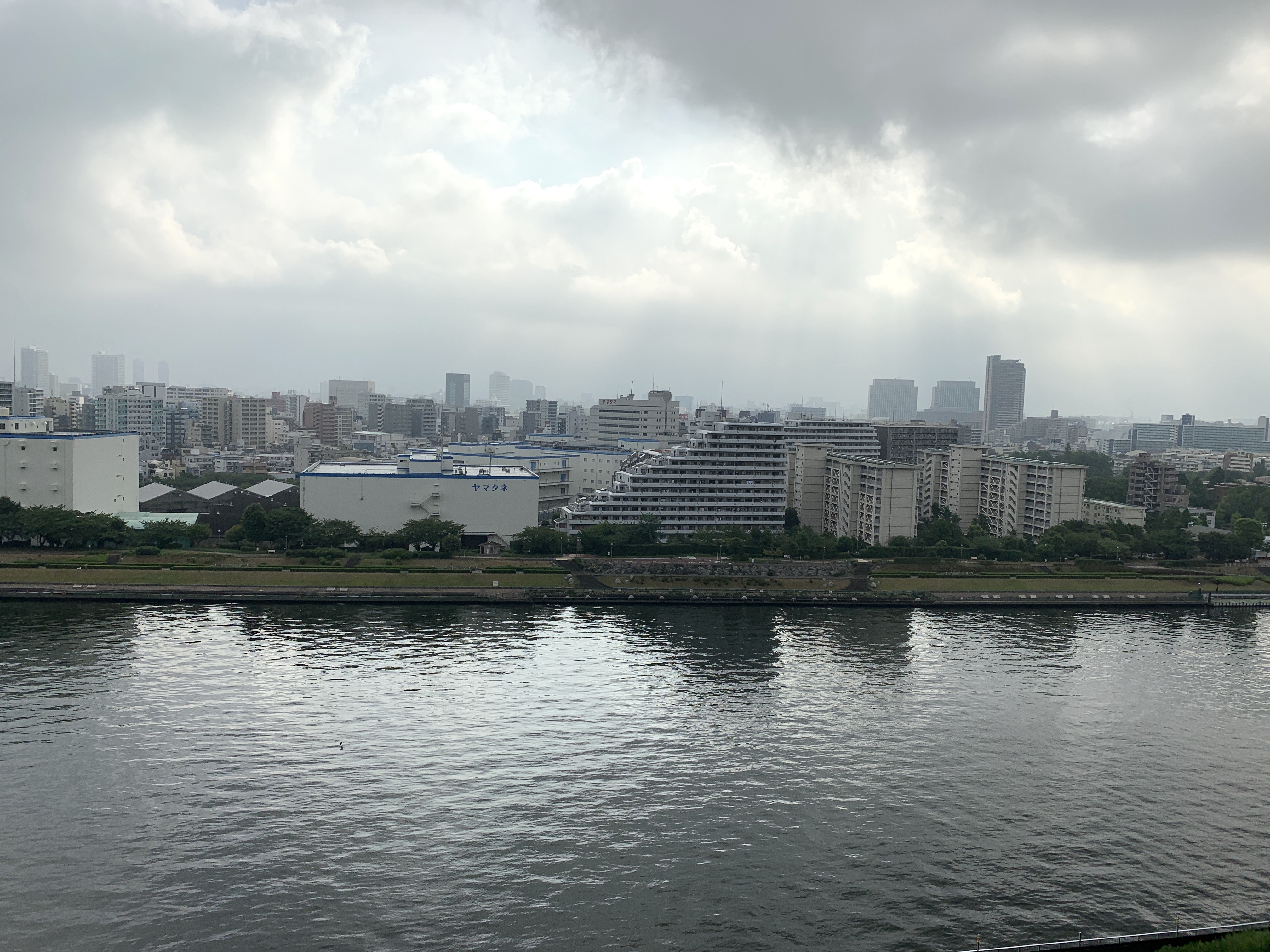 グレーから青空が☁️