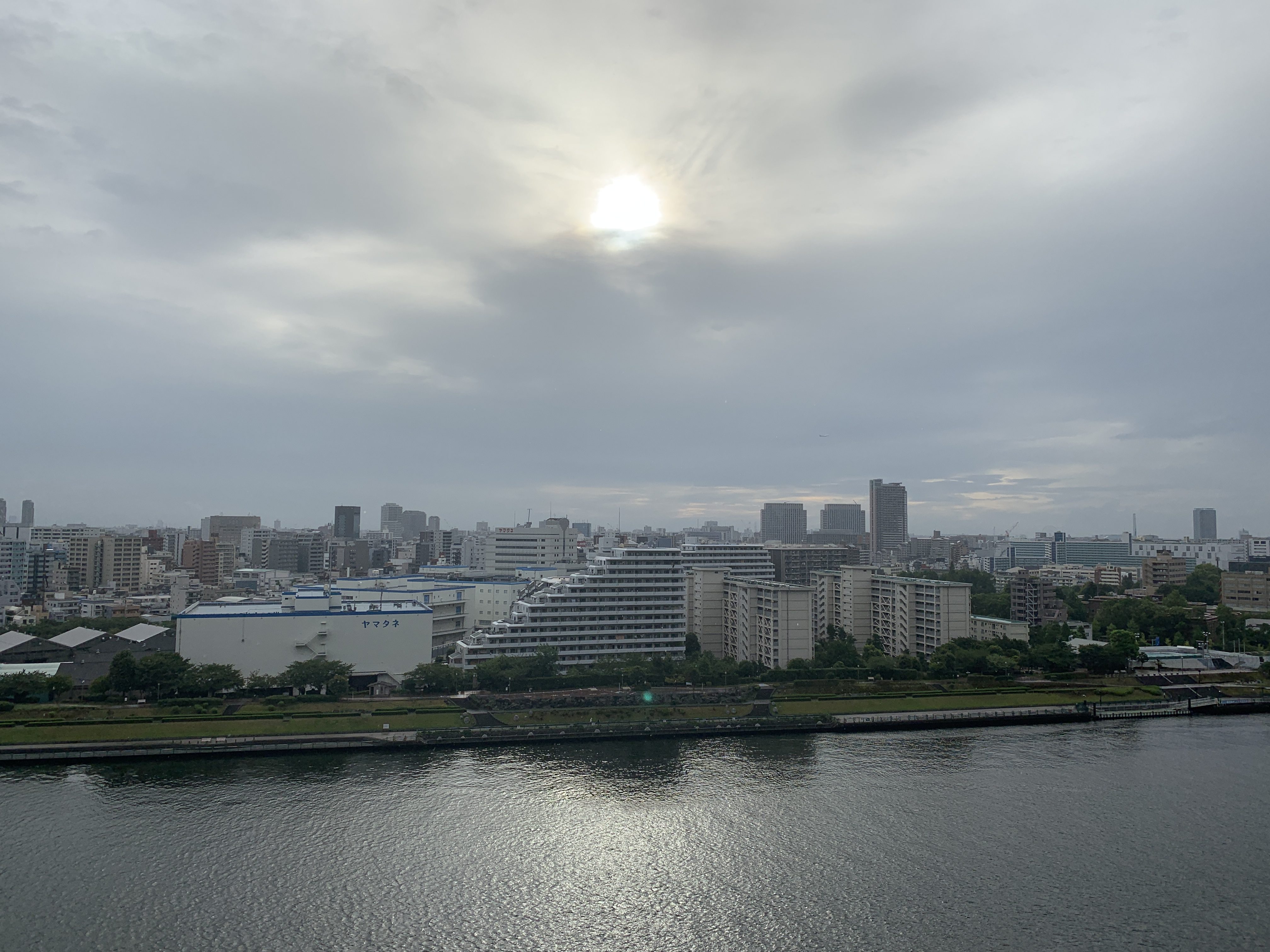 涼やかな風の朝「アサーション」