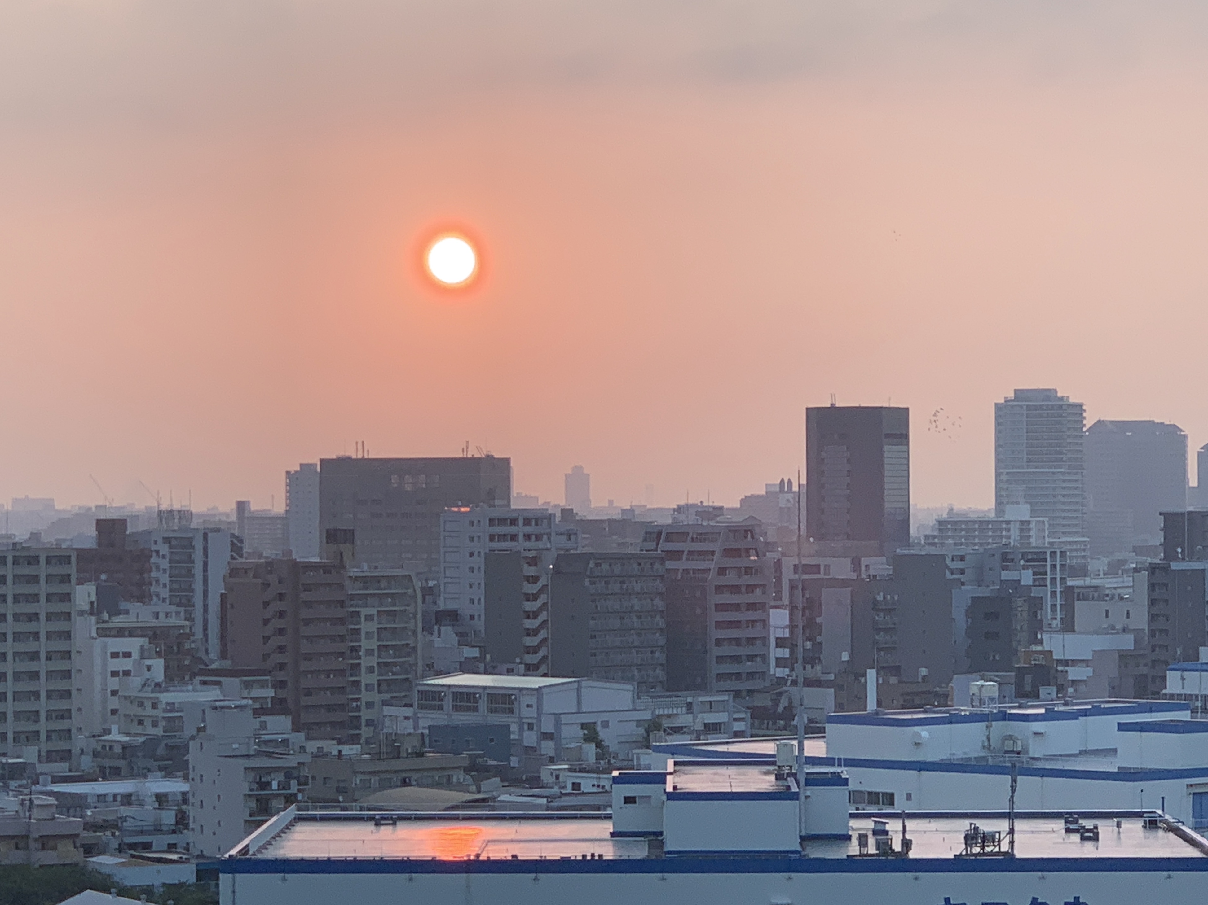 感動的なオレンジの太陽「可能性を広げる」