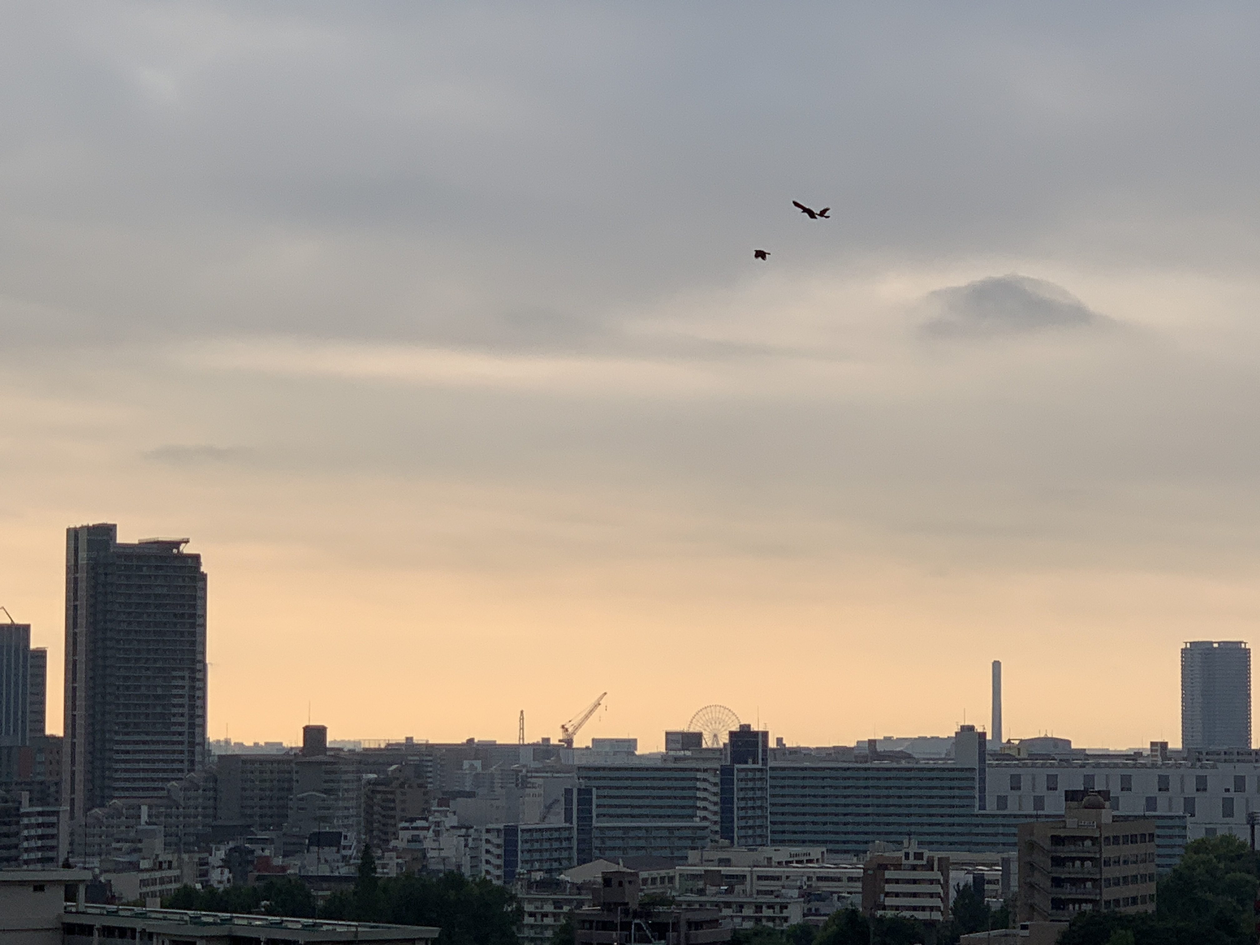 今朝も冷んやり秋の空「直感を優先」