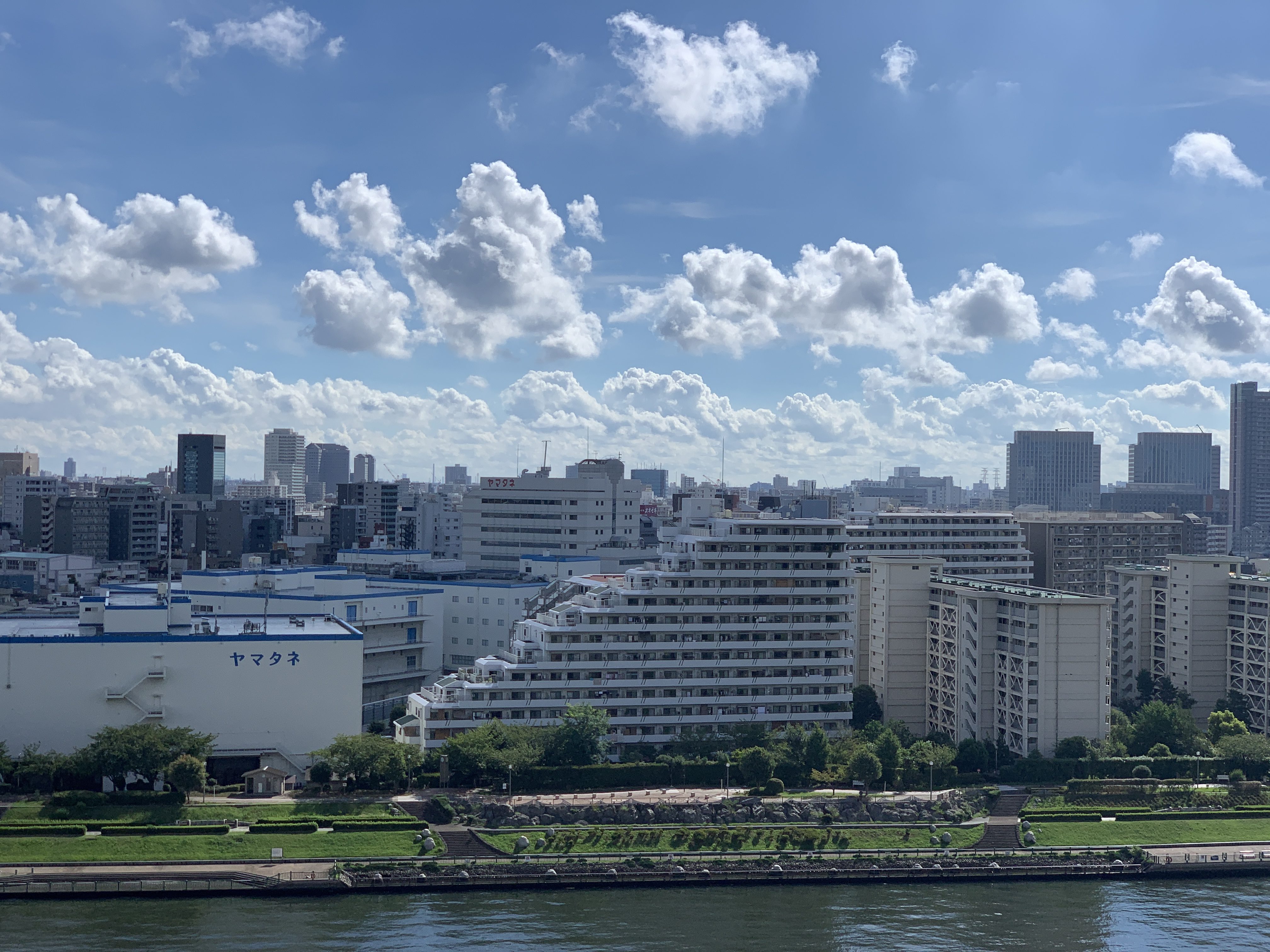 可愛い雲・雲・雲「たまには休養」☁️