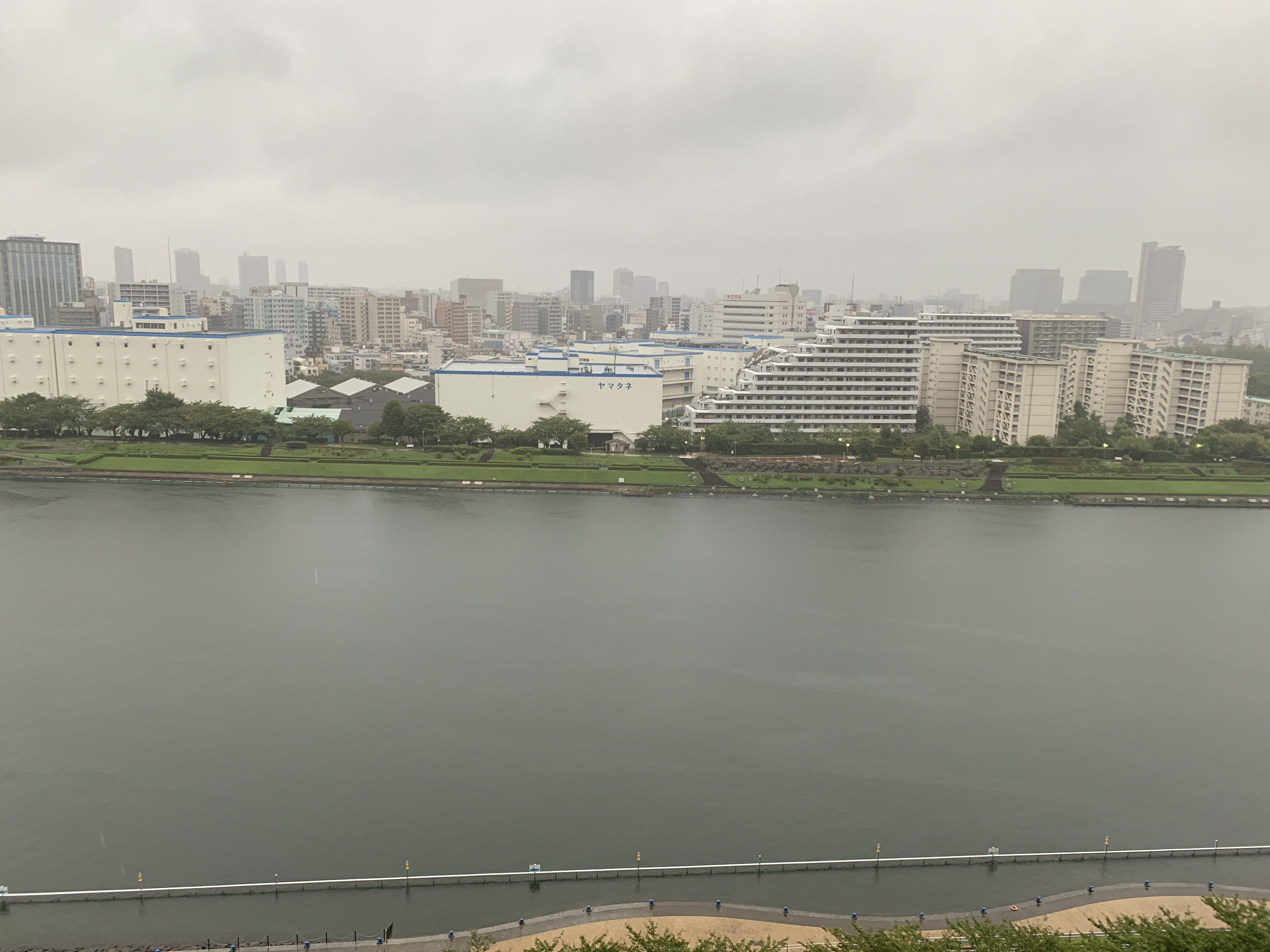 連休最終日は雨模様☔️