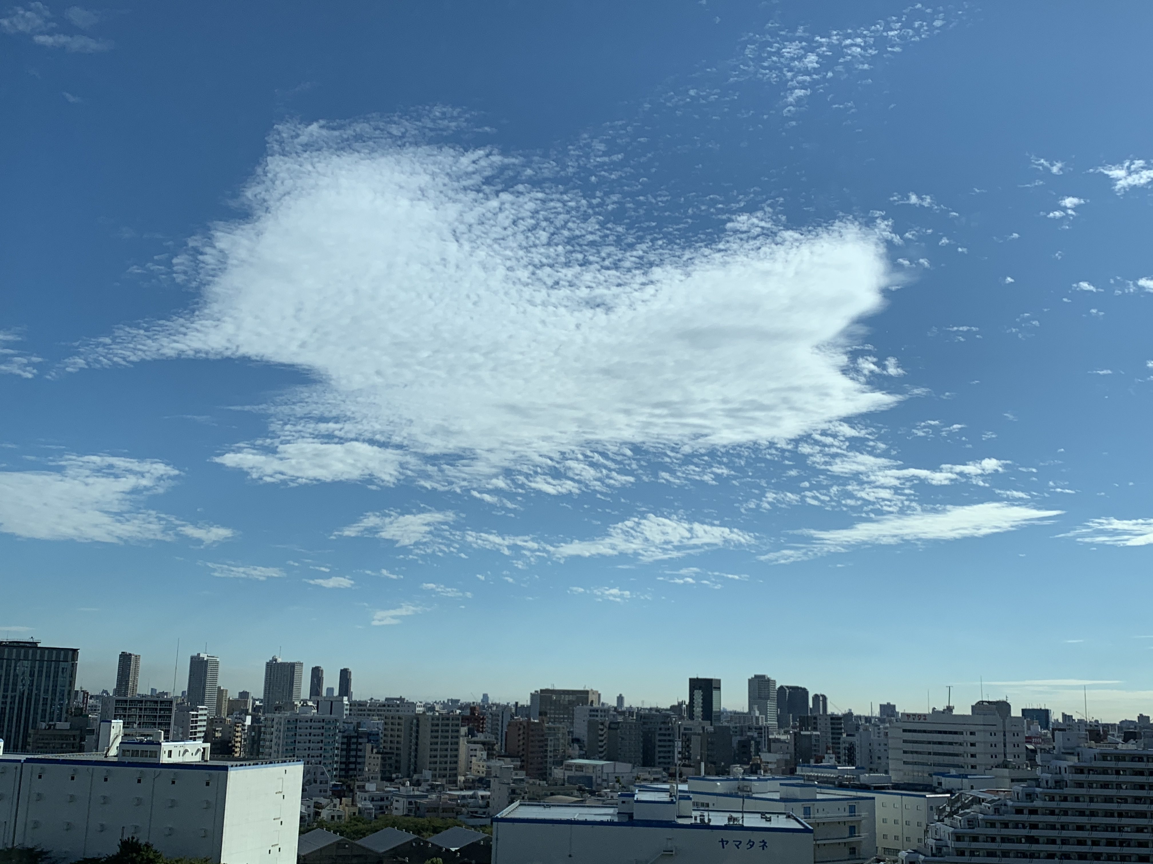 巨大ひよこ雲🐥