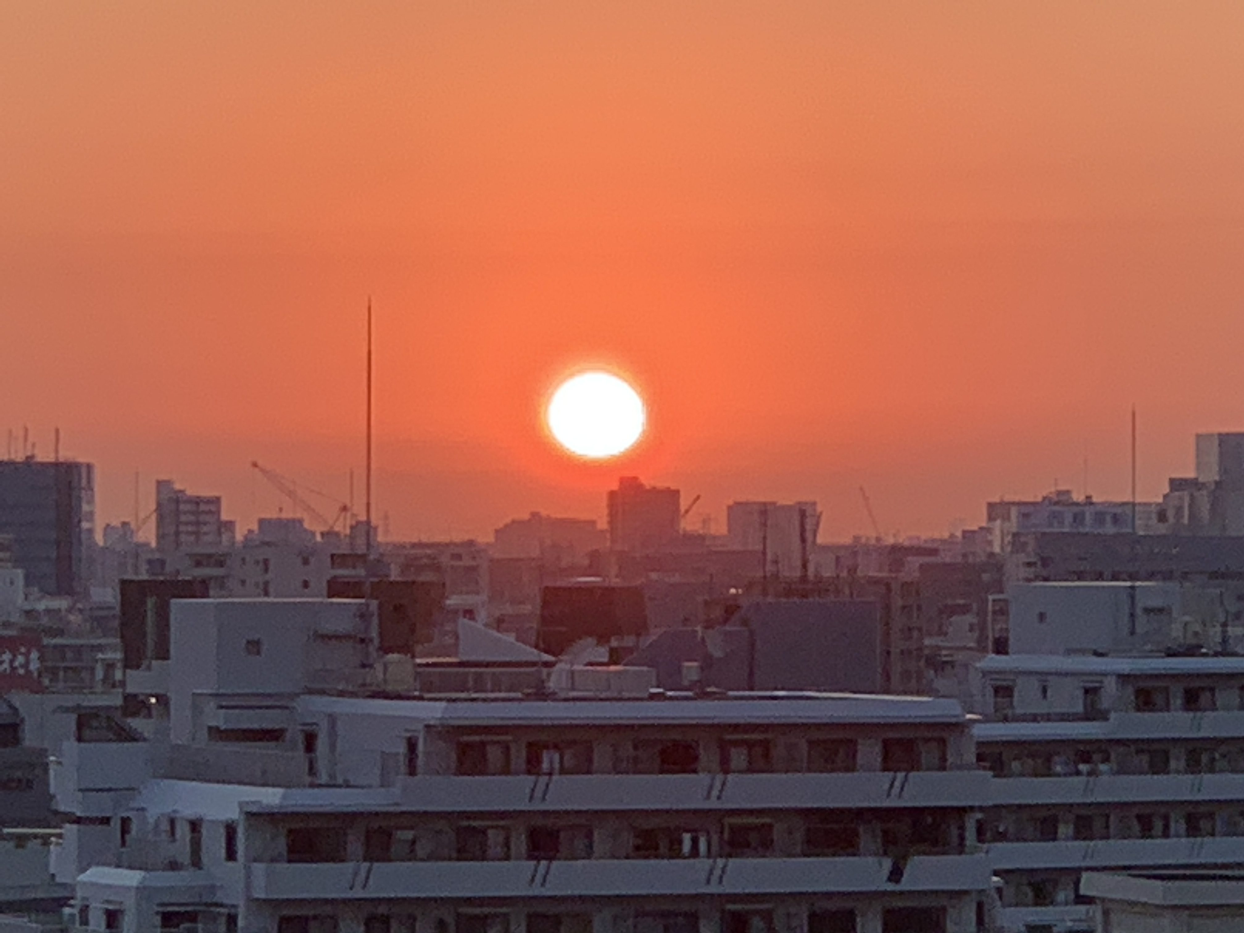 オレンジ色の夜明け「しなやかに・たおやかに」