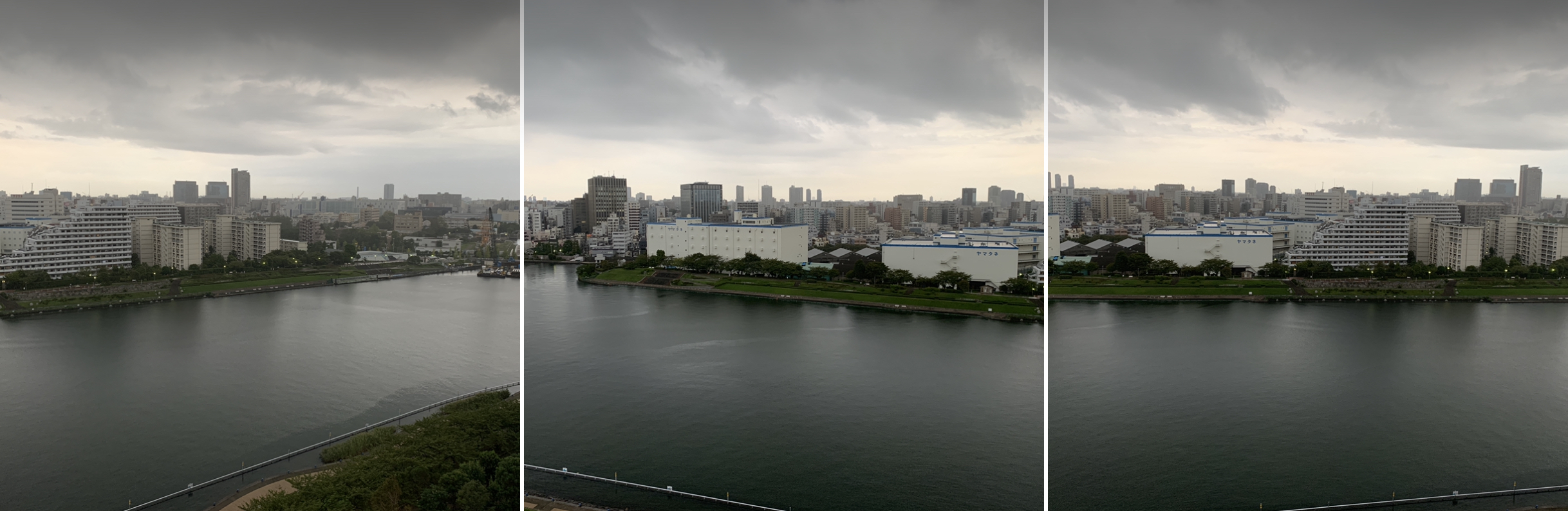 真っ白な朝「忠実に」☁️