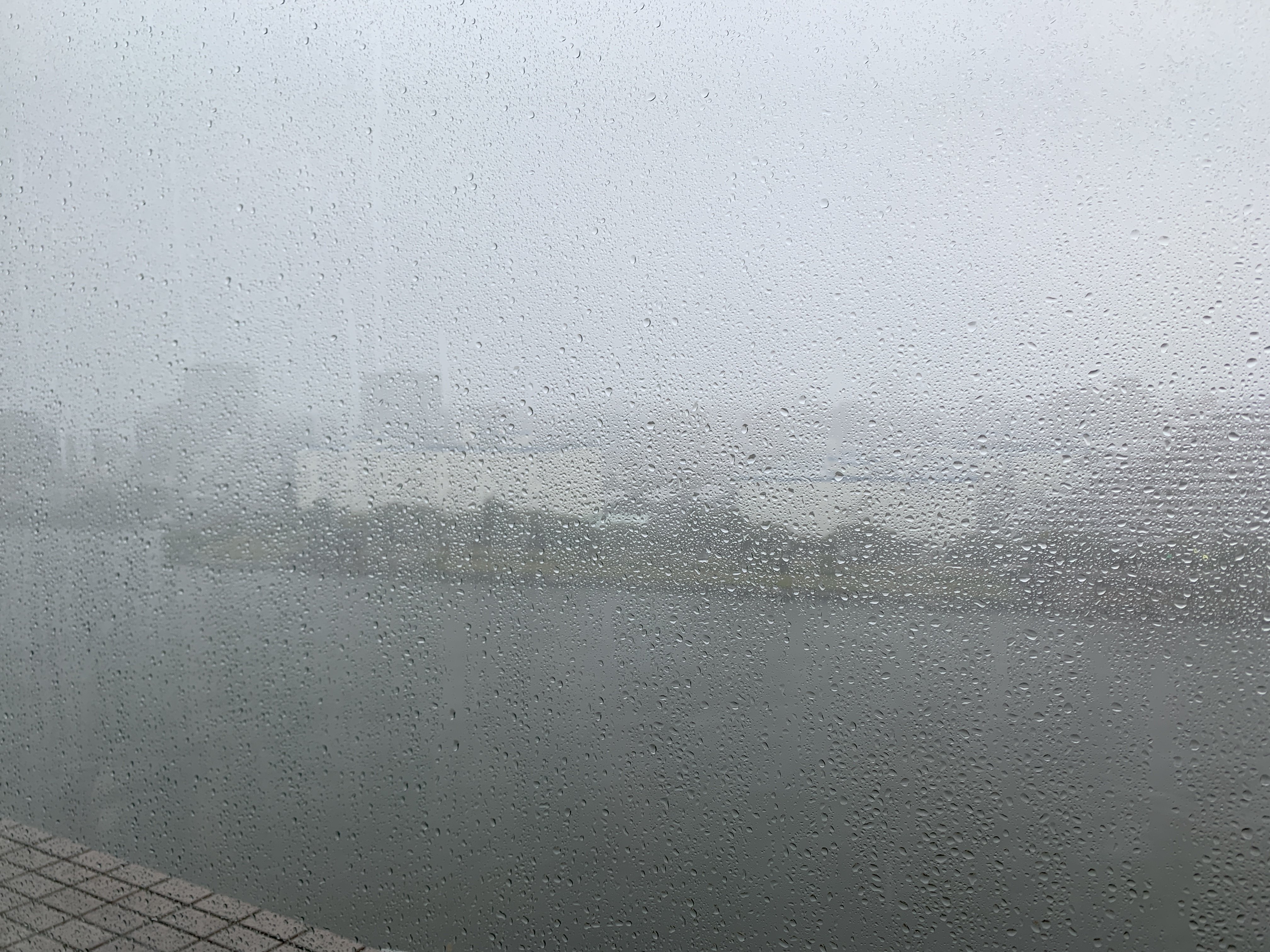 台風19号🌪