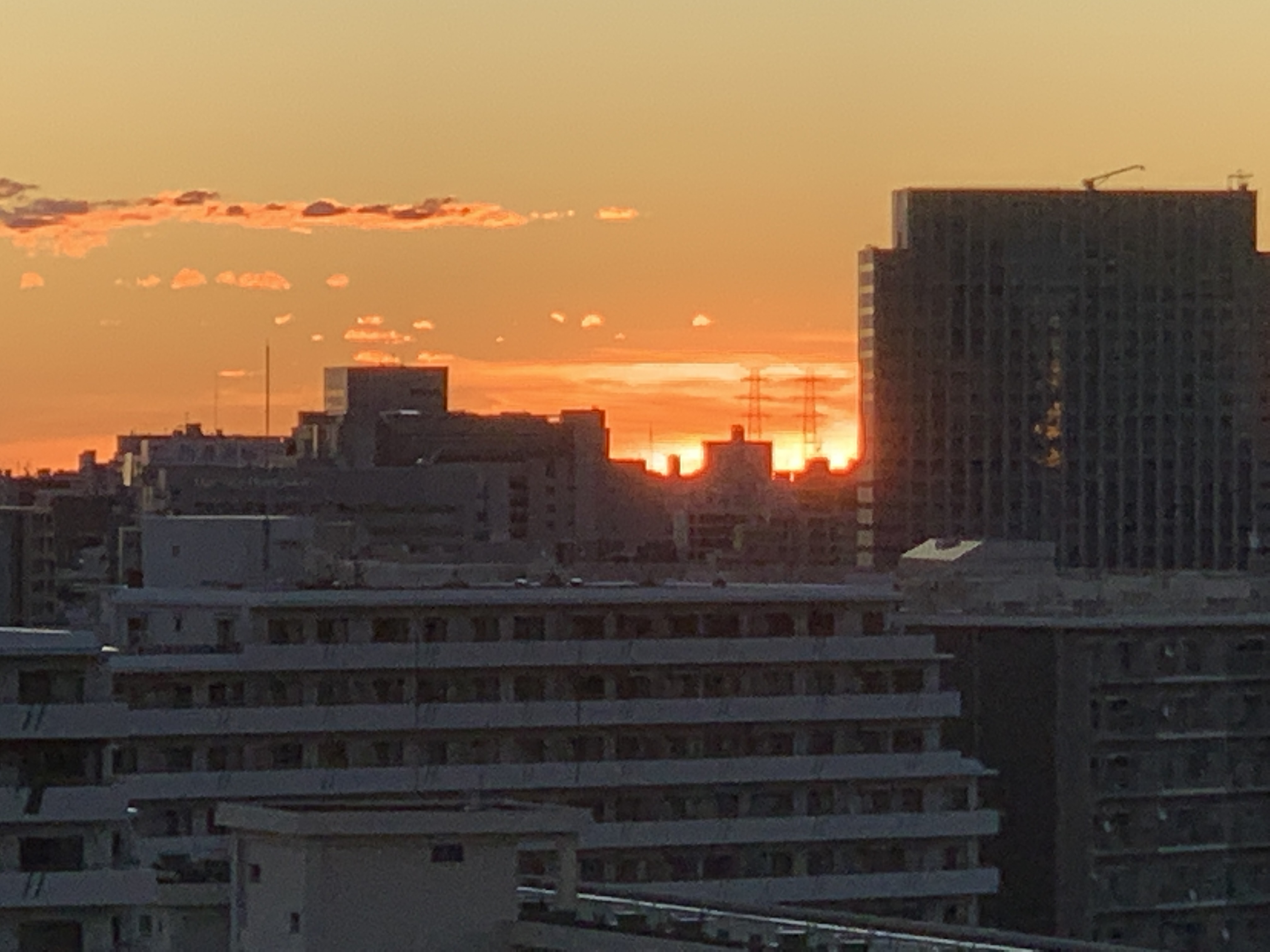 夜が明けますヨォ〜☀️