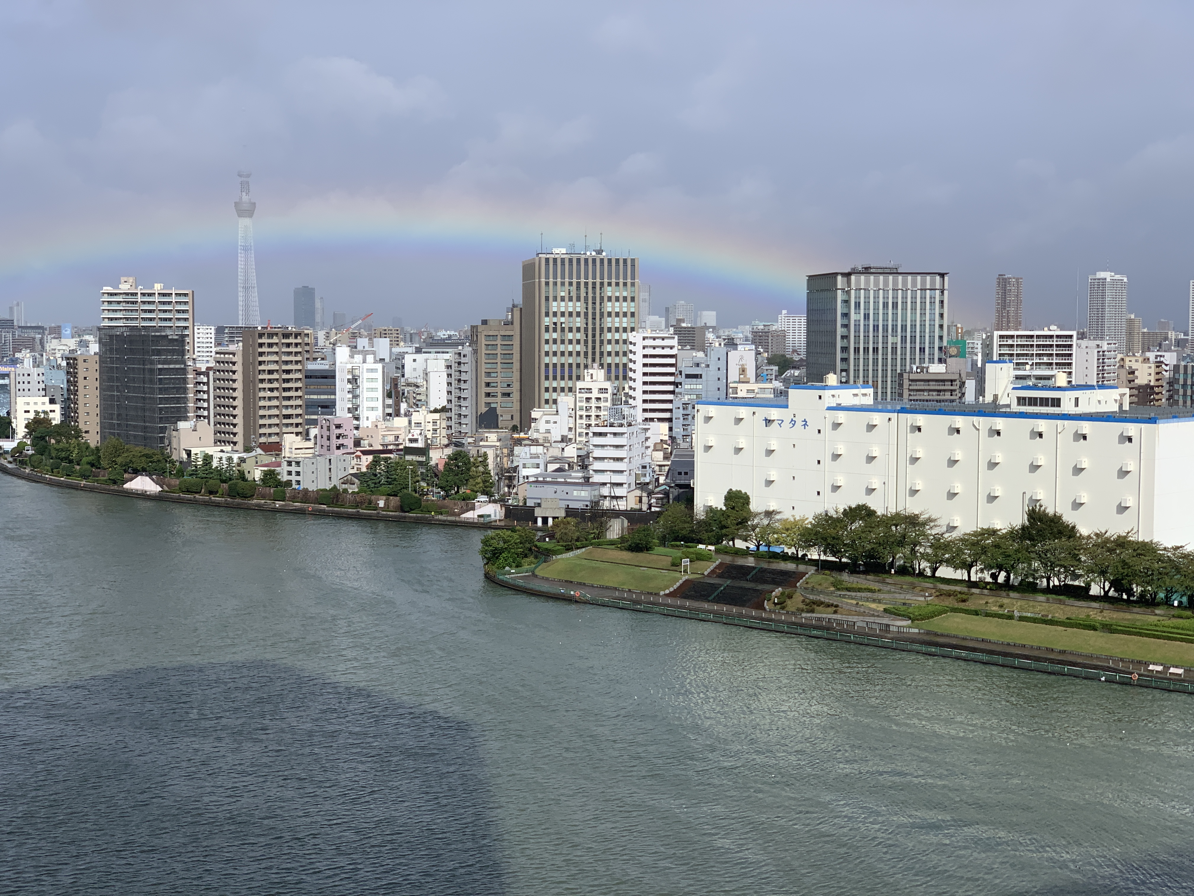 1時に祝福の虹🌈