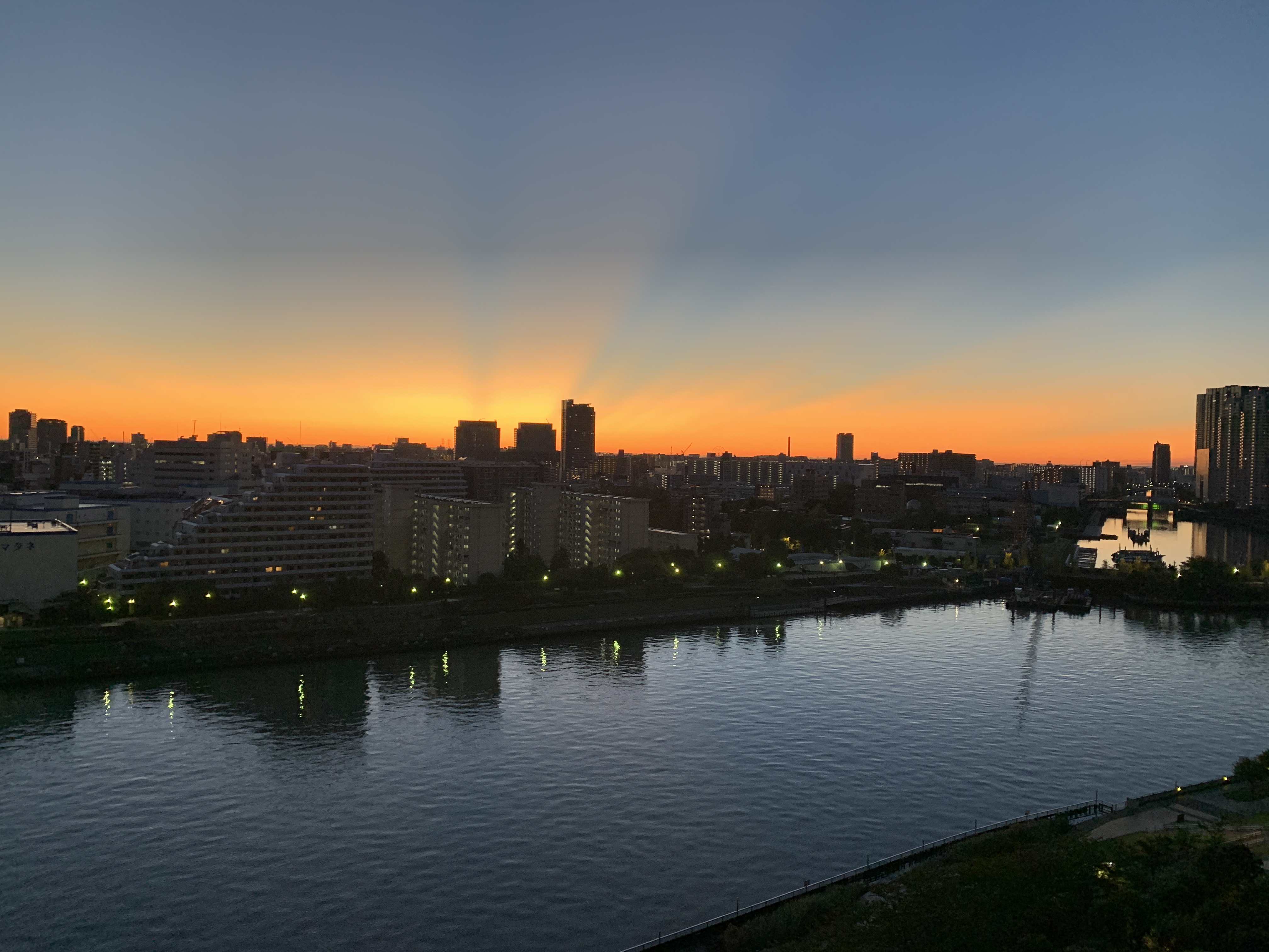 新時代の素晴らしい夜明け☀️「雅やか」