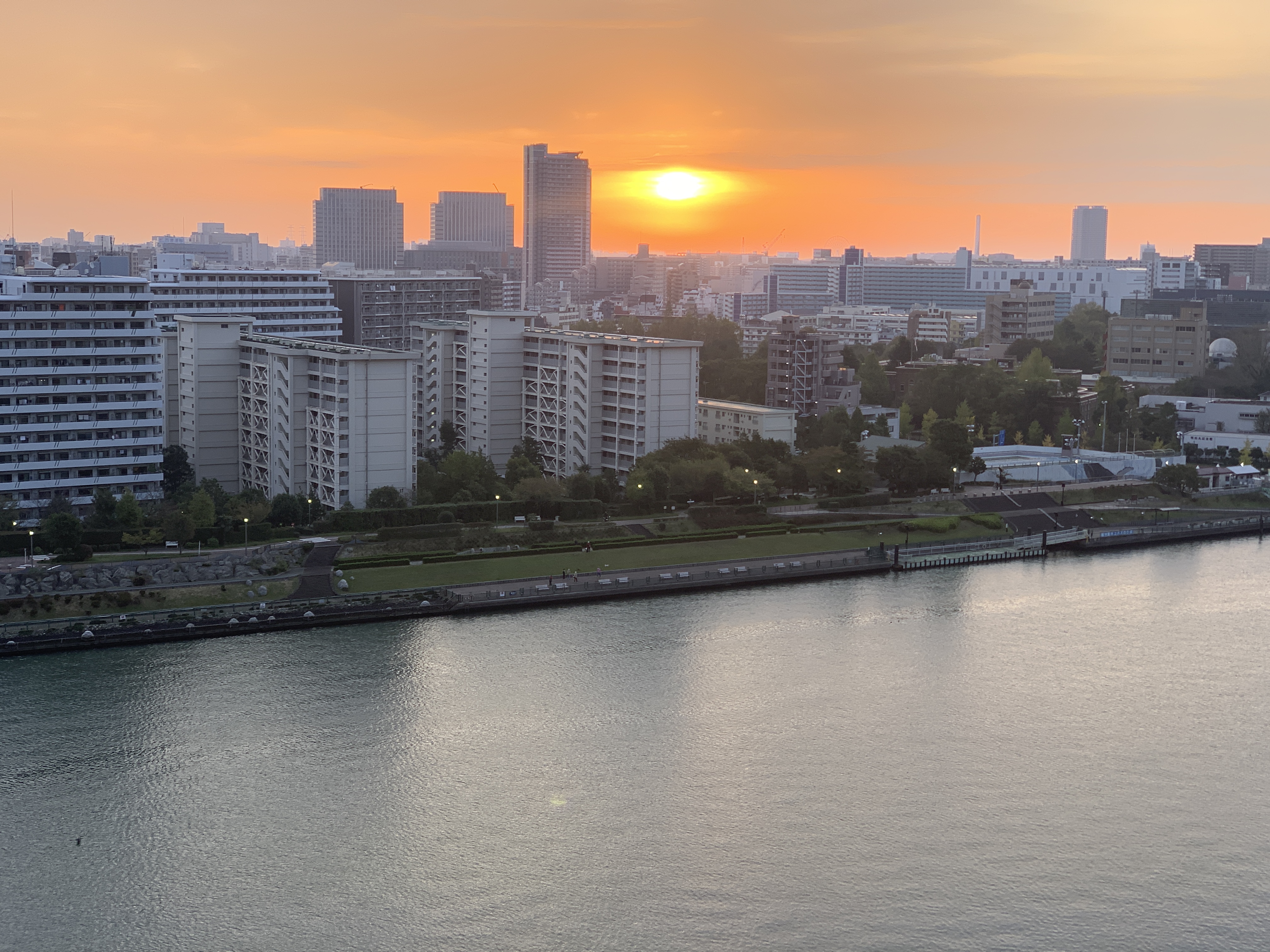 見事な朝陽☀️「身内に優しい言葉がけ」