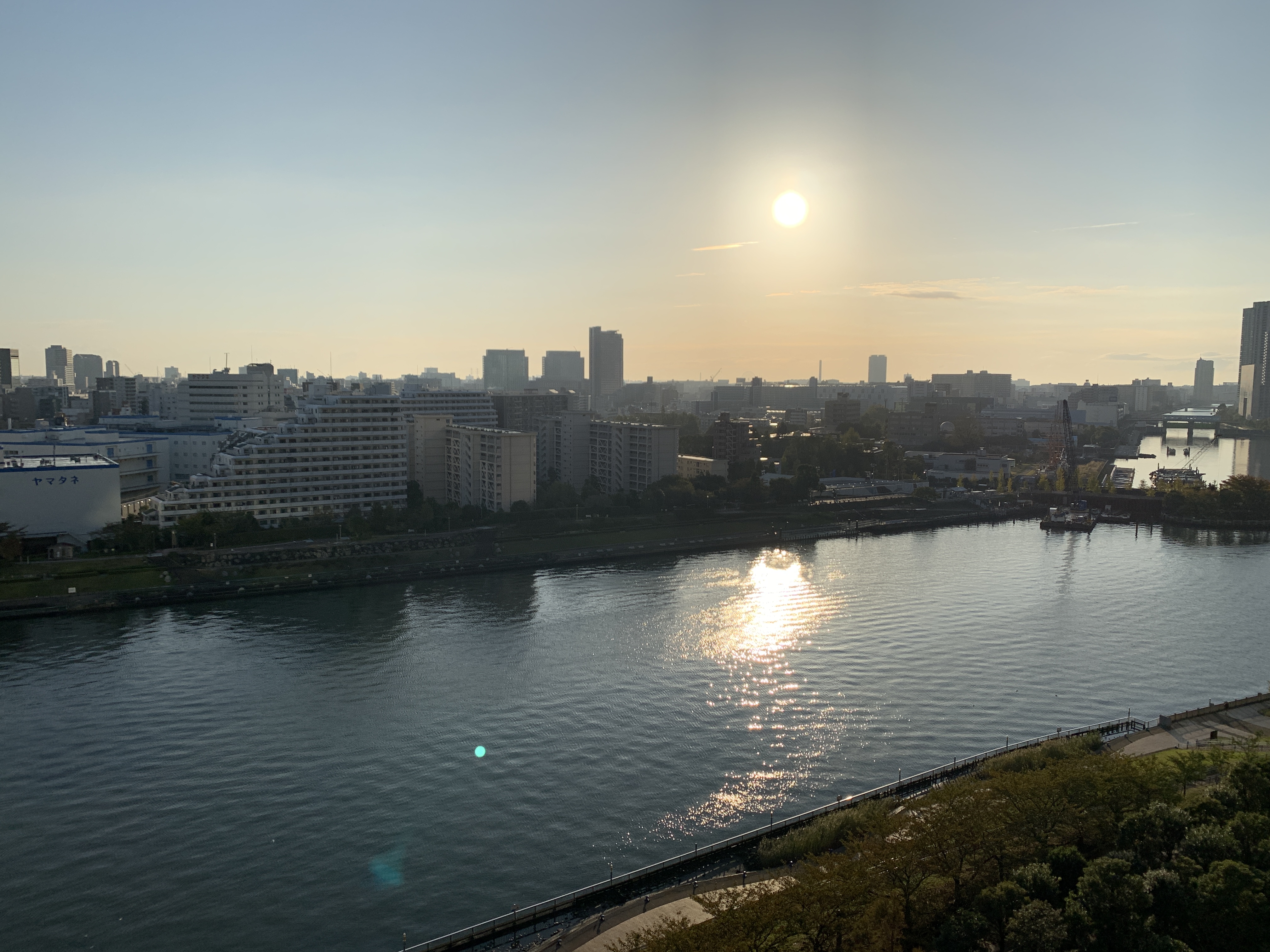 素敵な朝陽☀️