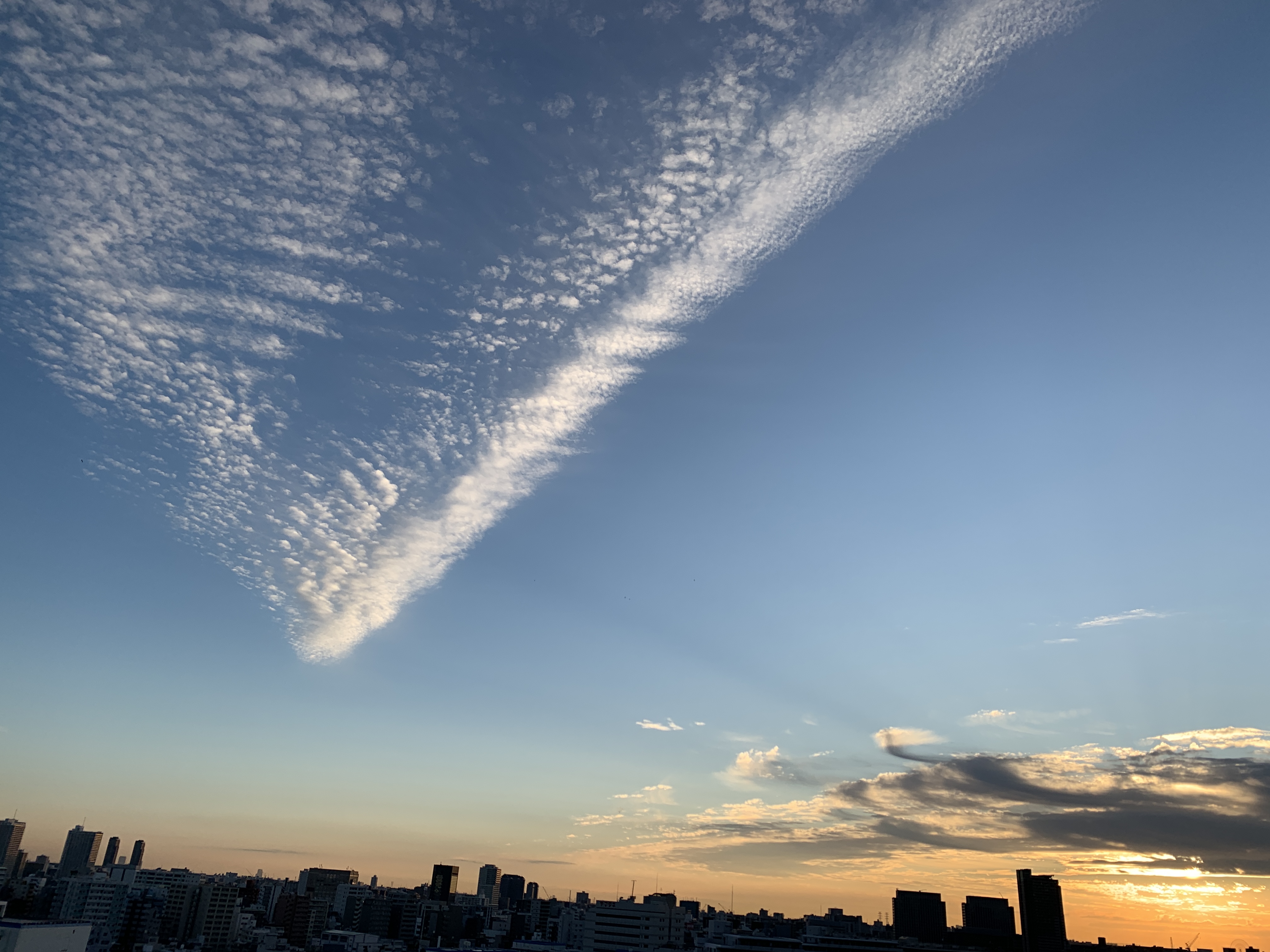 楽しい縦長の雲「遊び心」