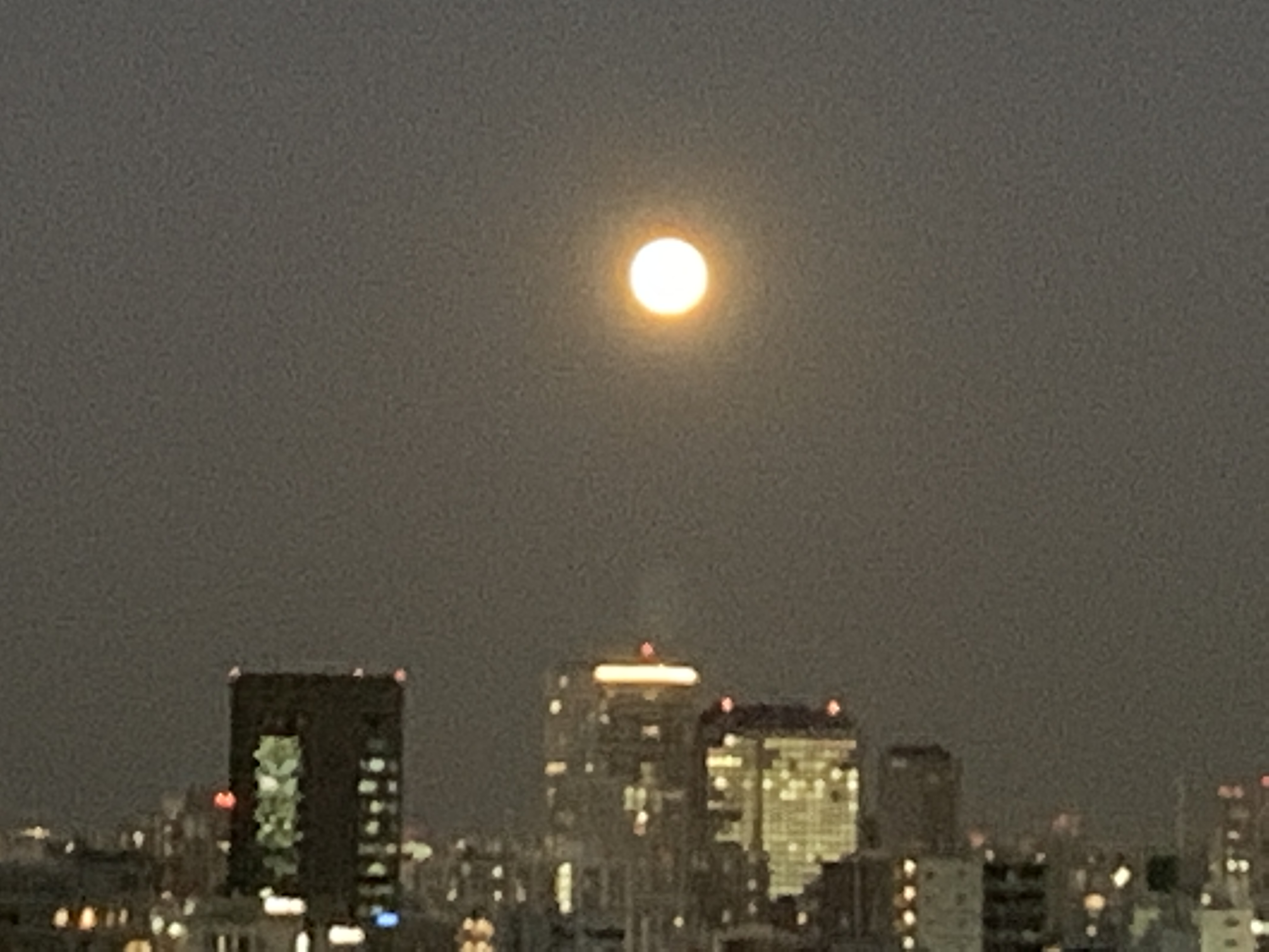 満月見てね🌕