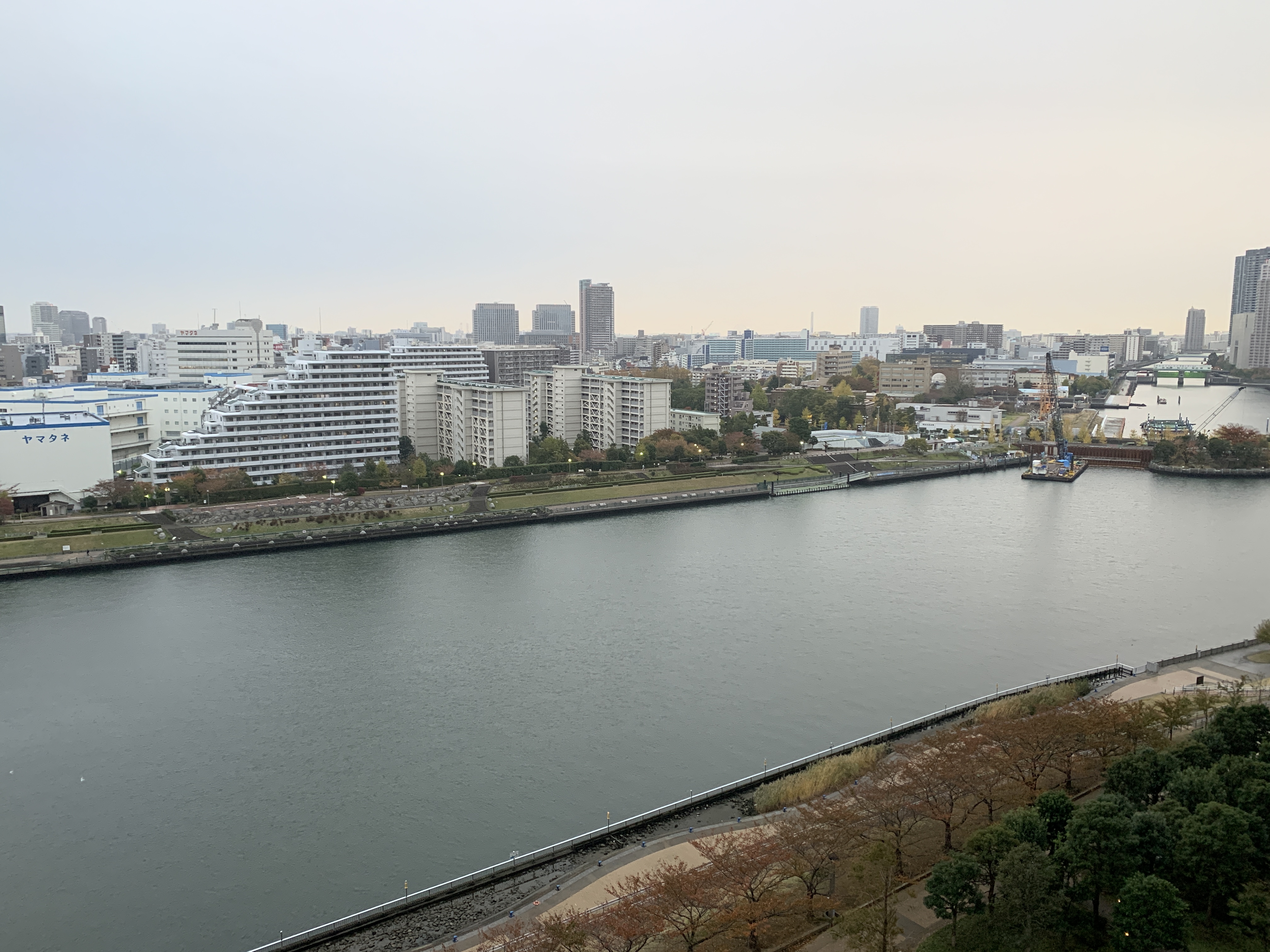 寒くてグレーの朝「距離感」