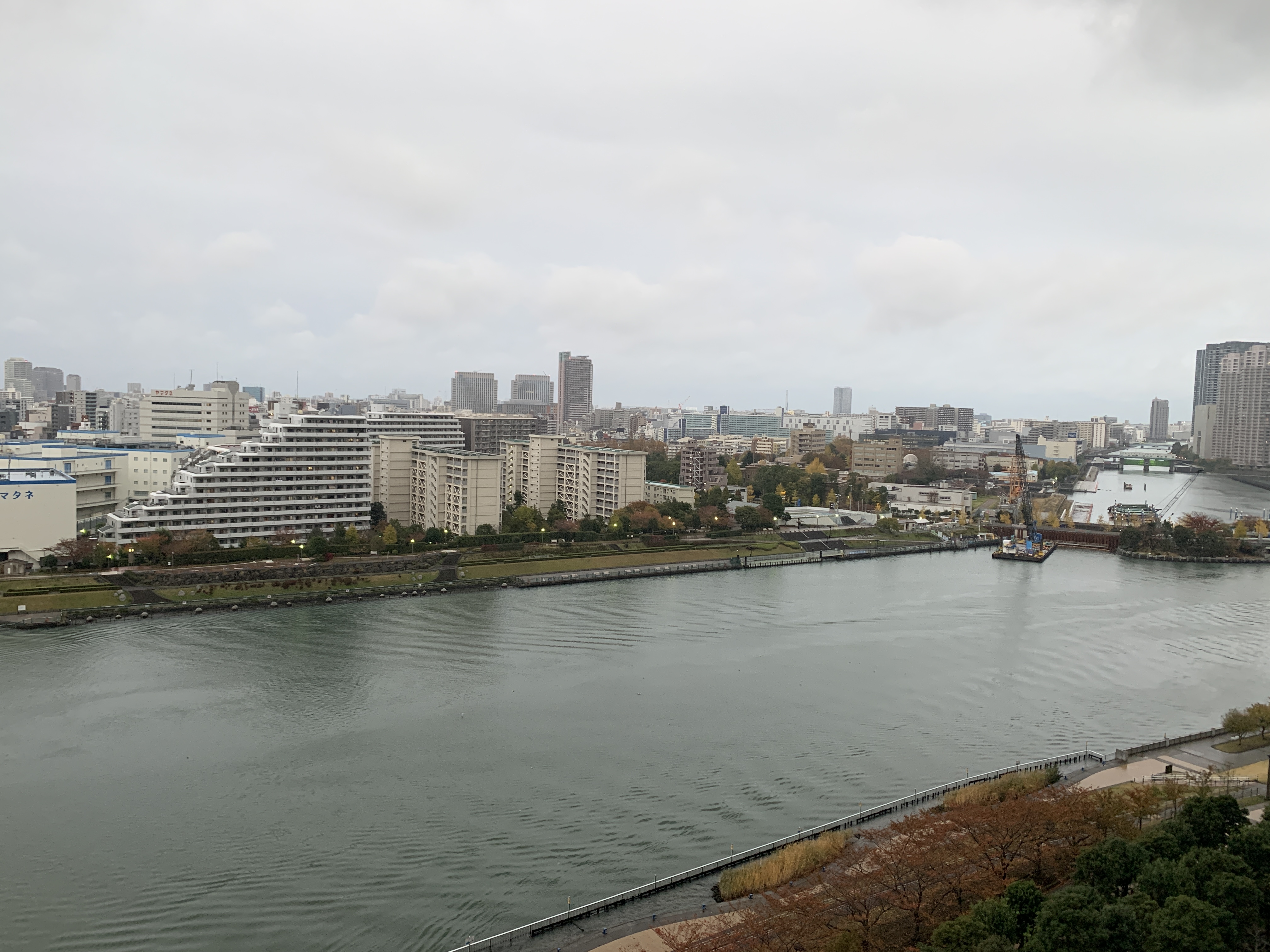 一段と寒い朝「丁寧に」