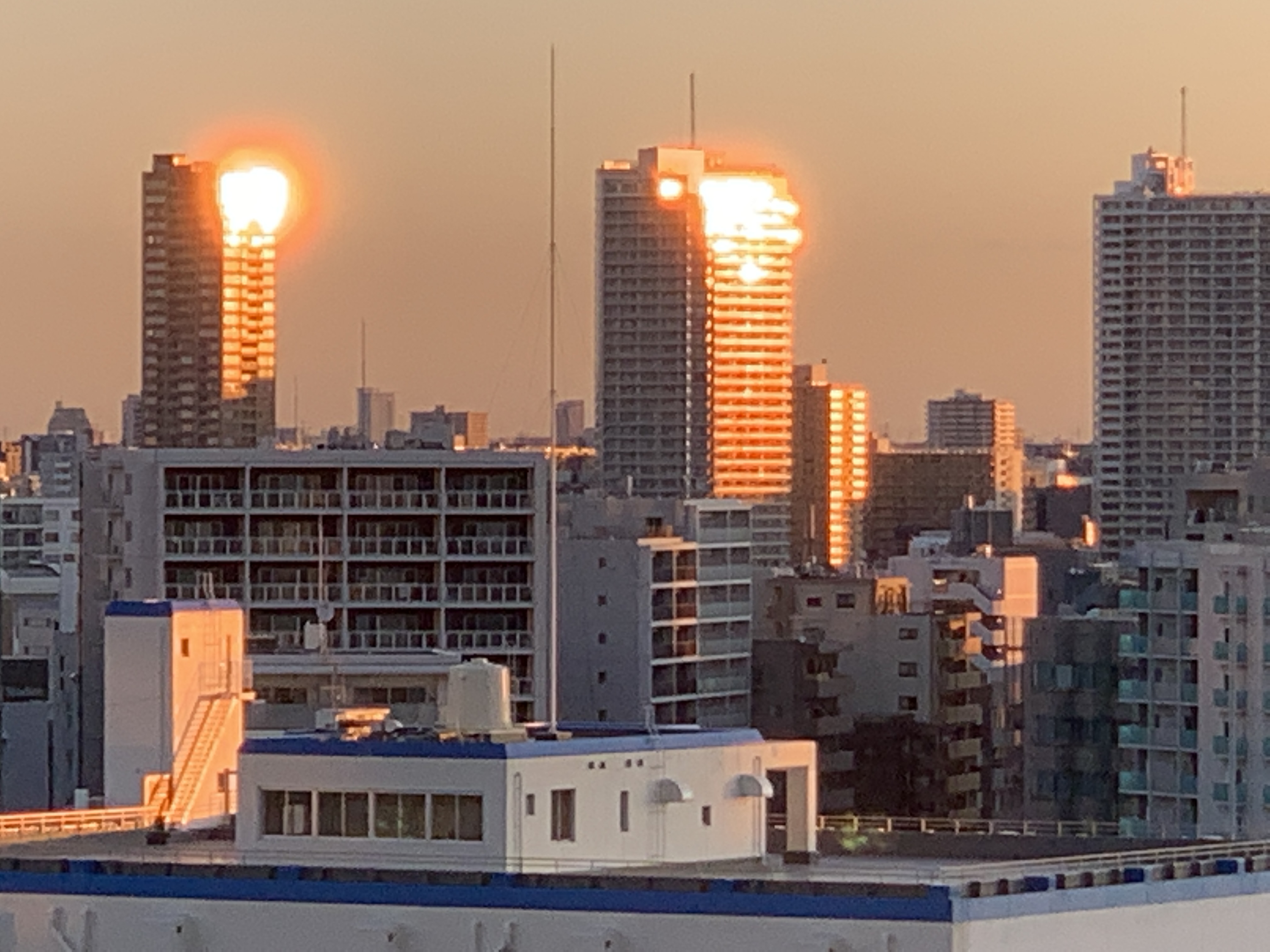 今日も快晴・元気な朝陽☀️「安心する」