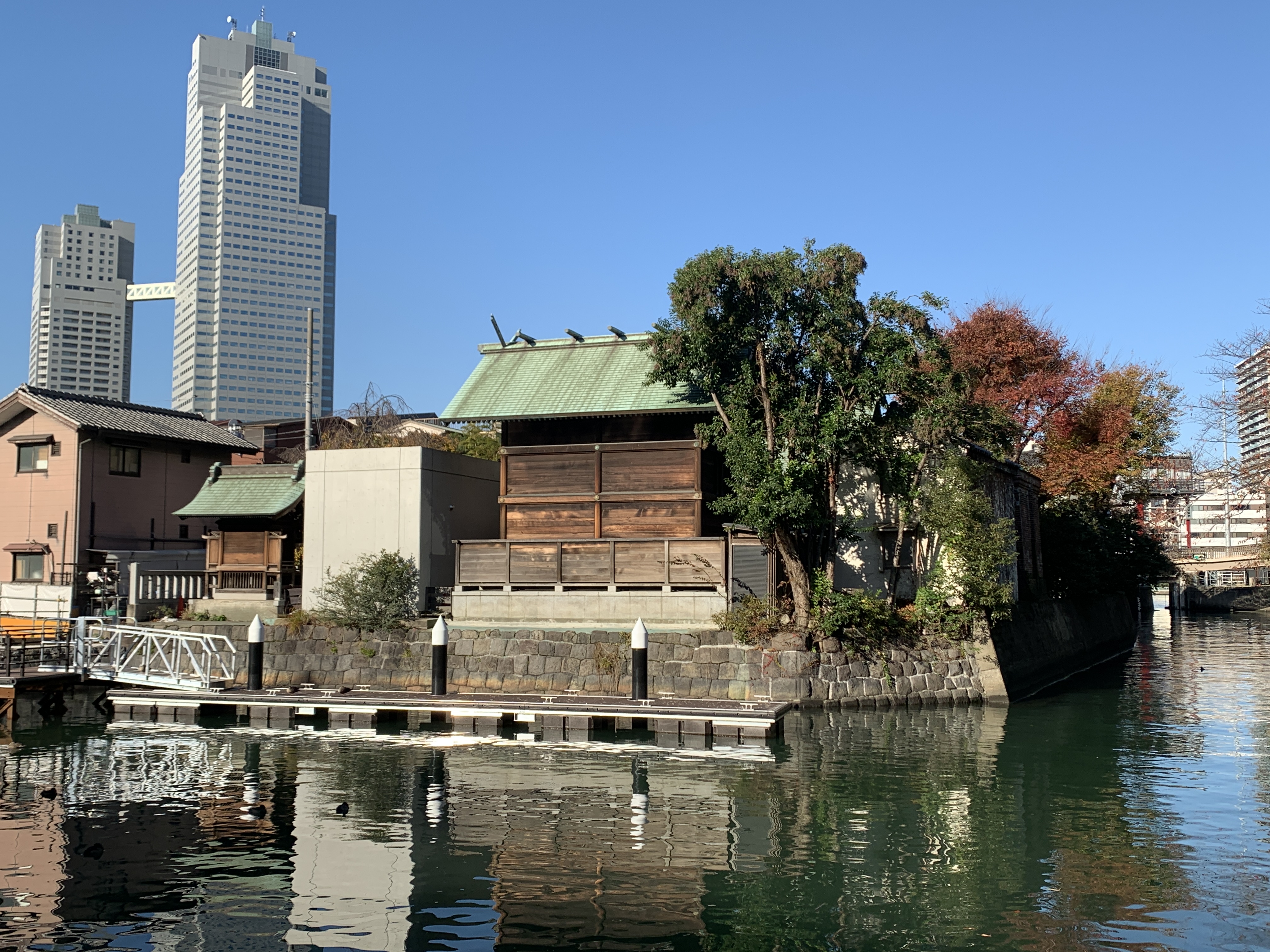 公園を通り抜けて🏃‍♀️