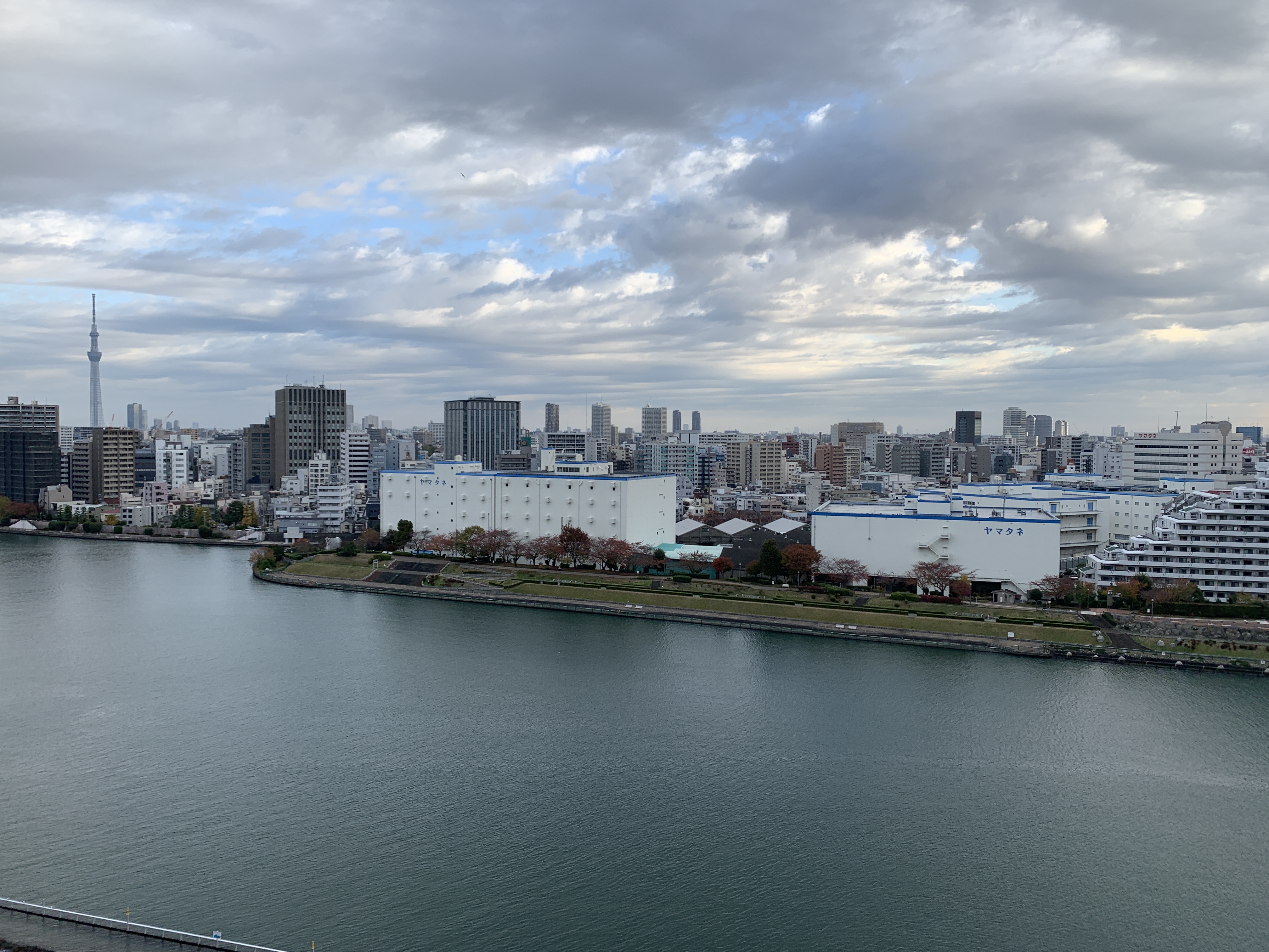 雲が楽しい朝「みんなにシェア」