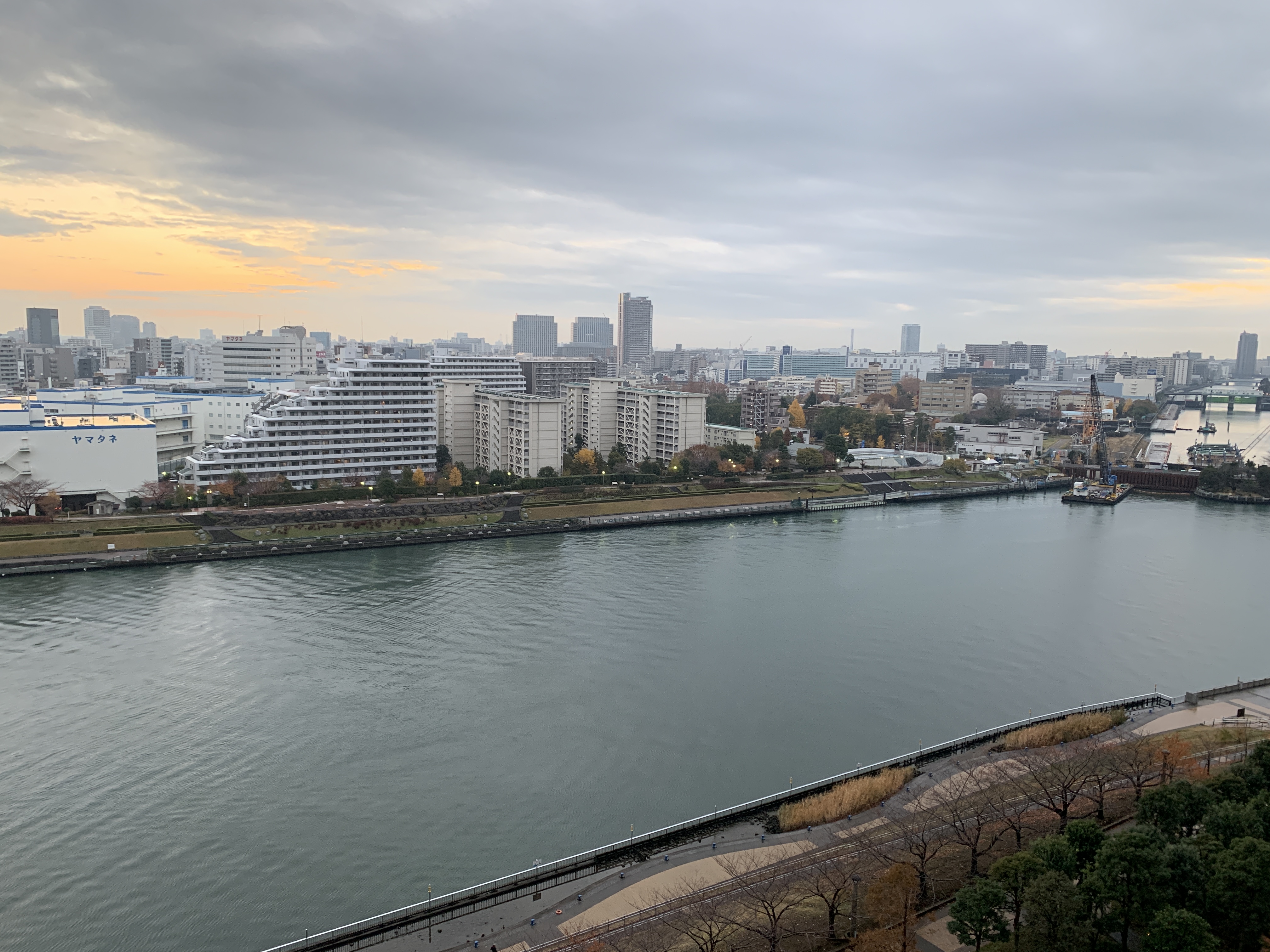 雲が邪魔している東の空「直感」