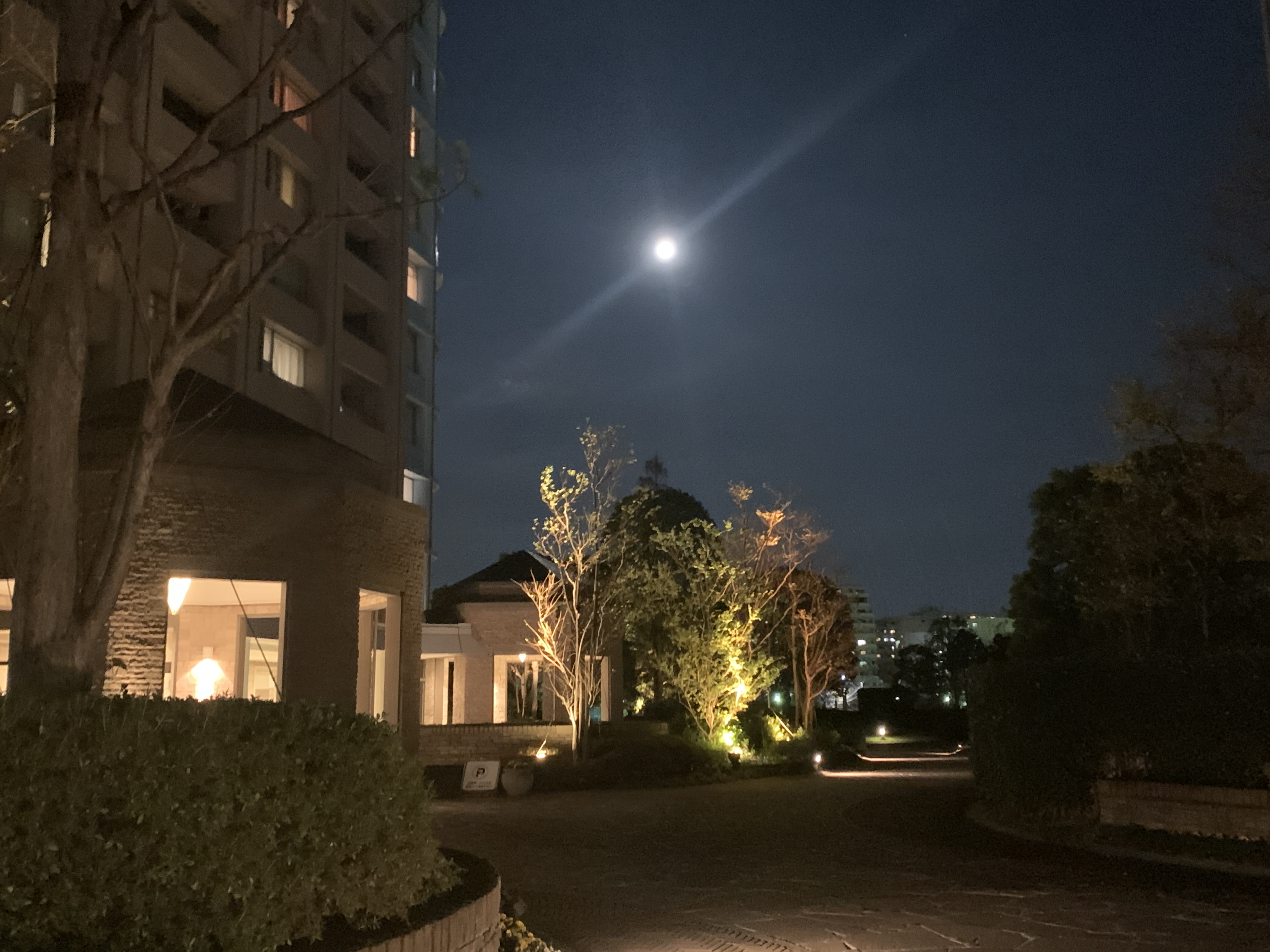 今夜は満月🌕