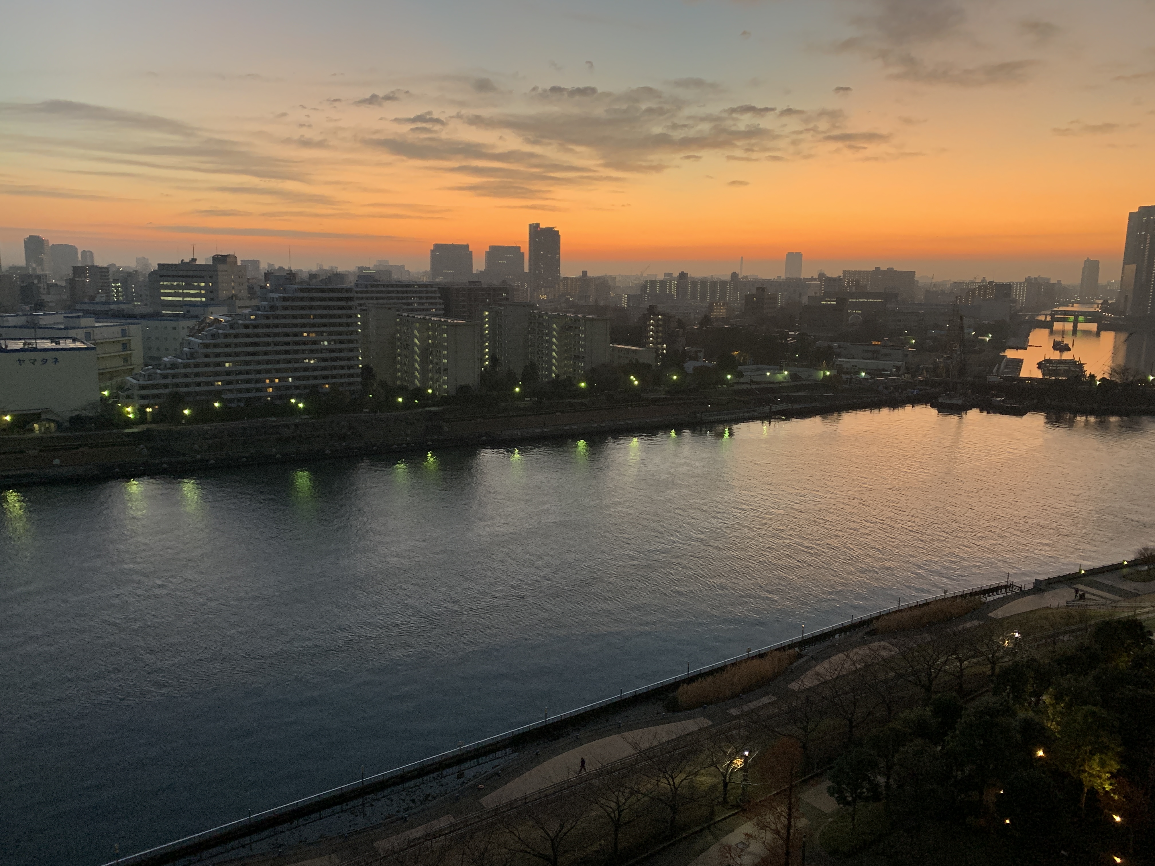 素敵な朝「心地良さ」☀️