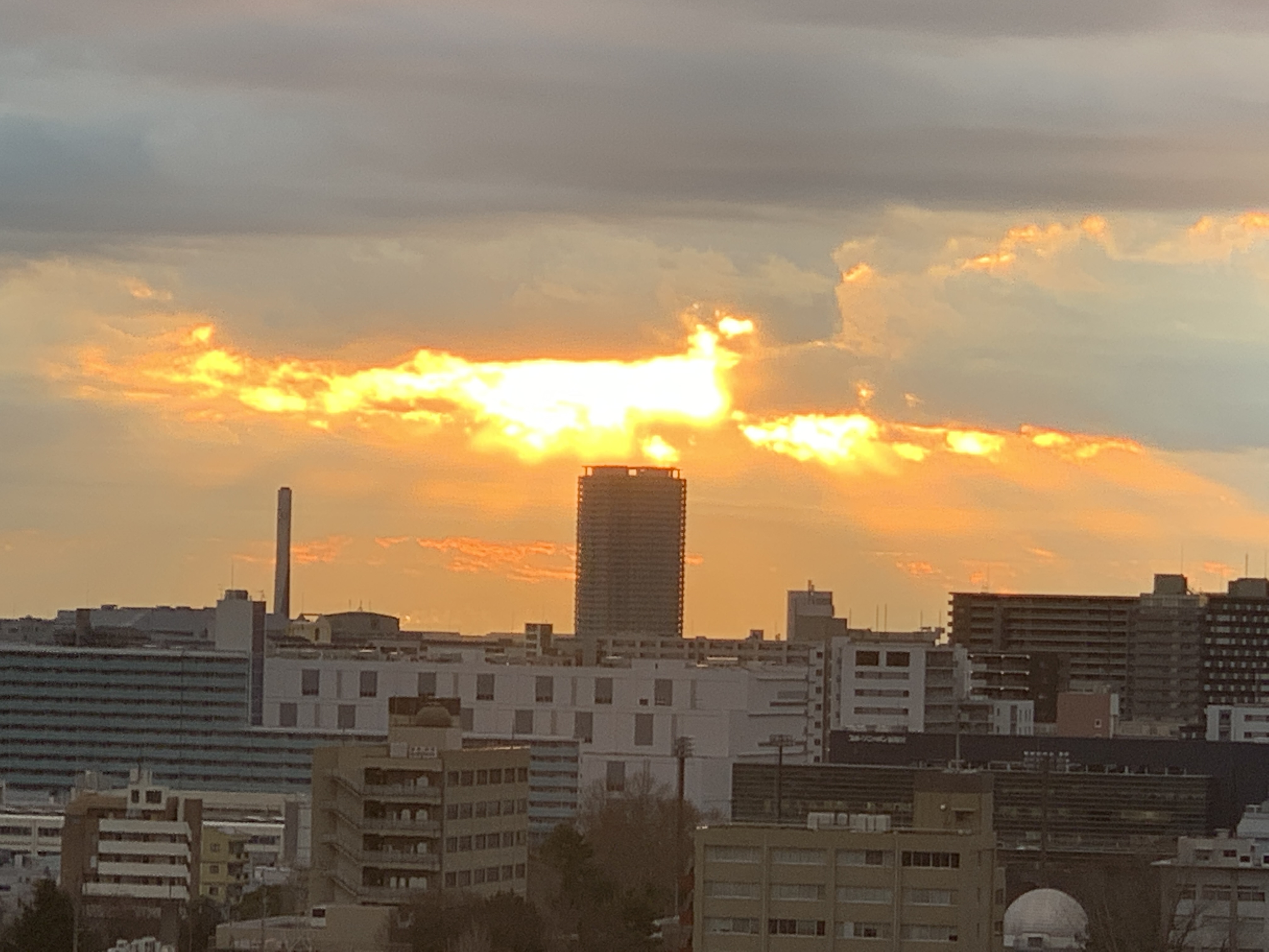 元気が出る朝の風景☀️「大変かどうか」