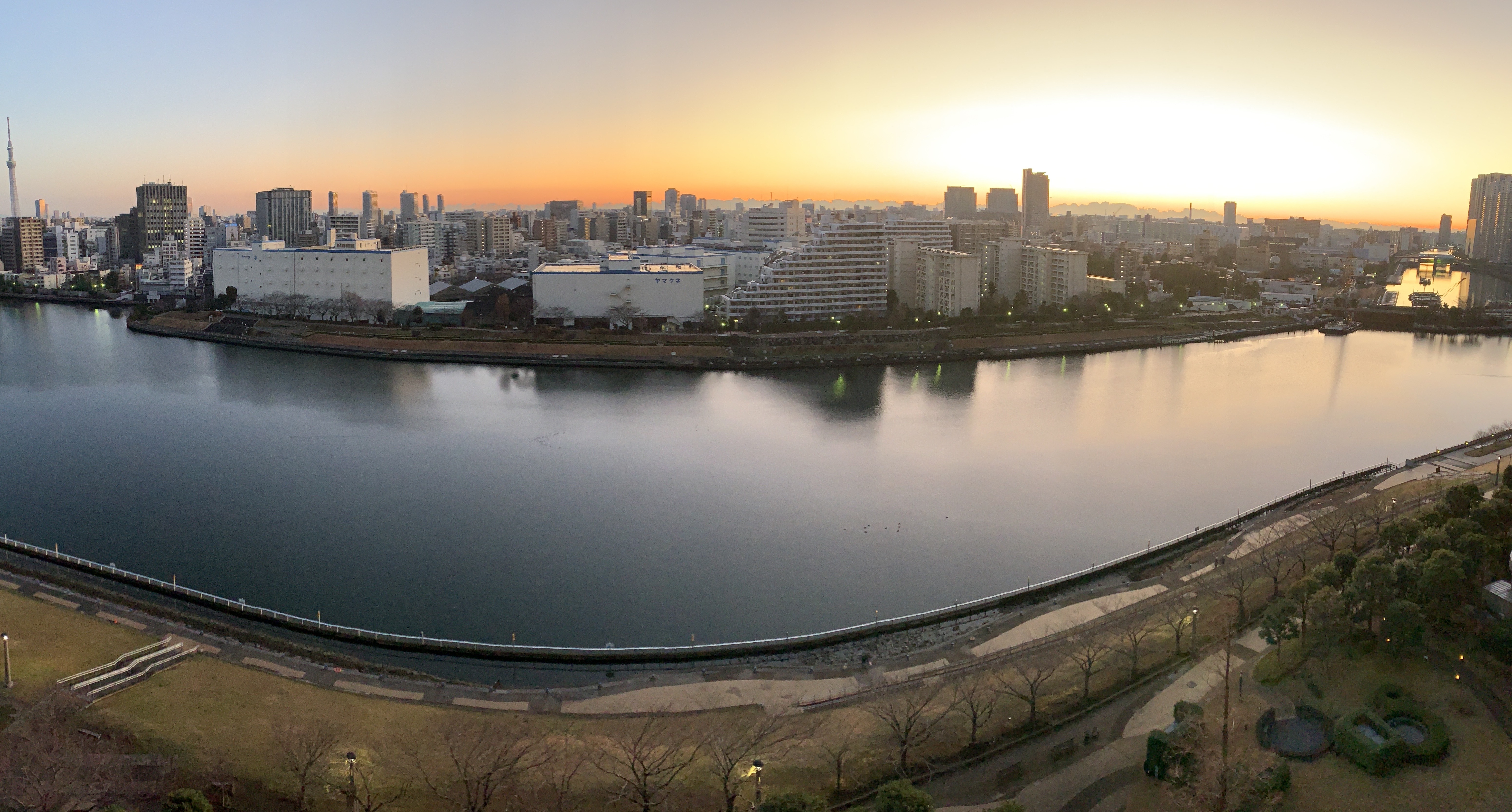 朝から萌えている太陽「閃き」