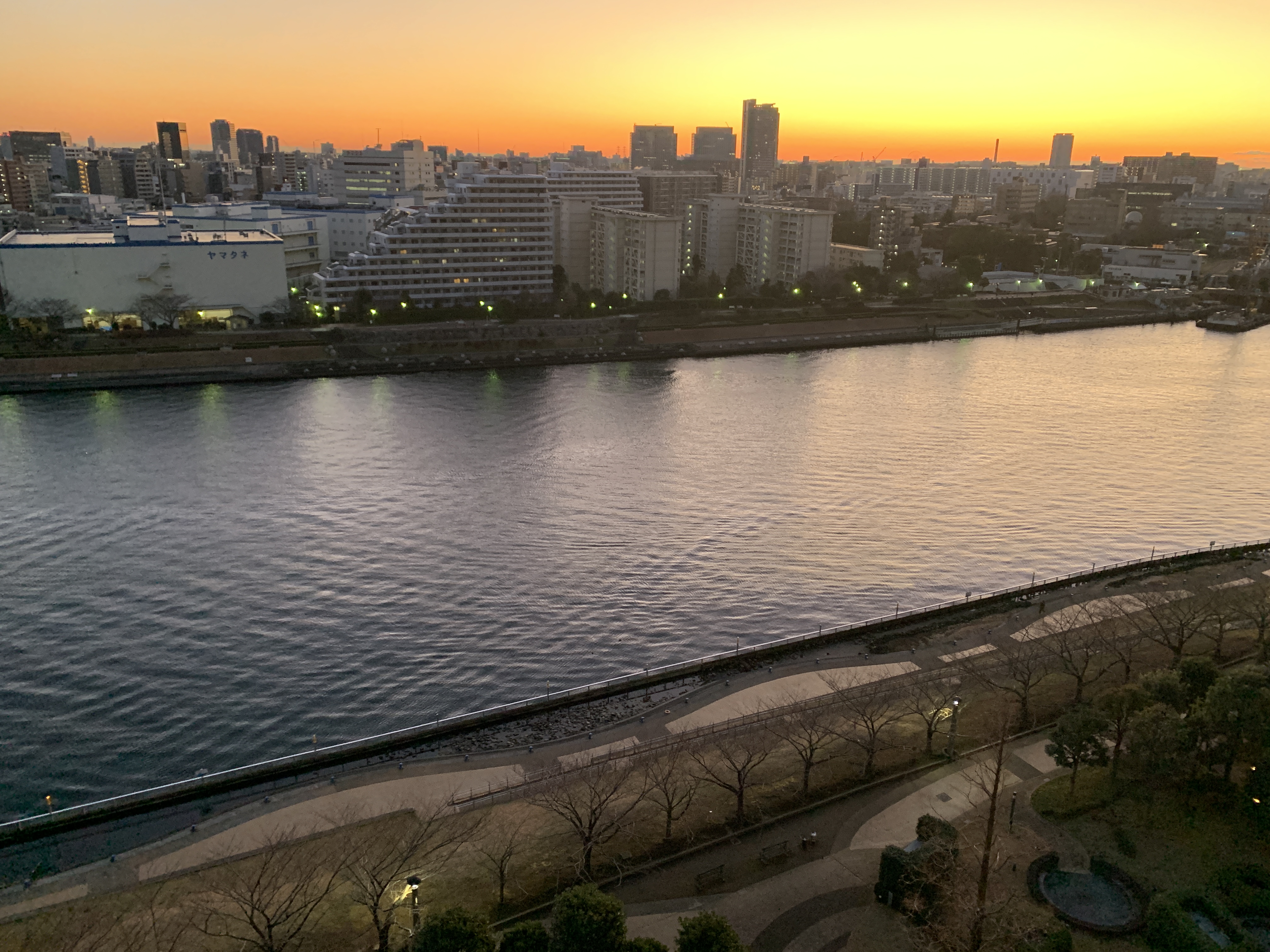 輝く夜明け☀️「気づきで自己改革」