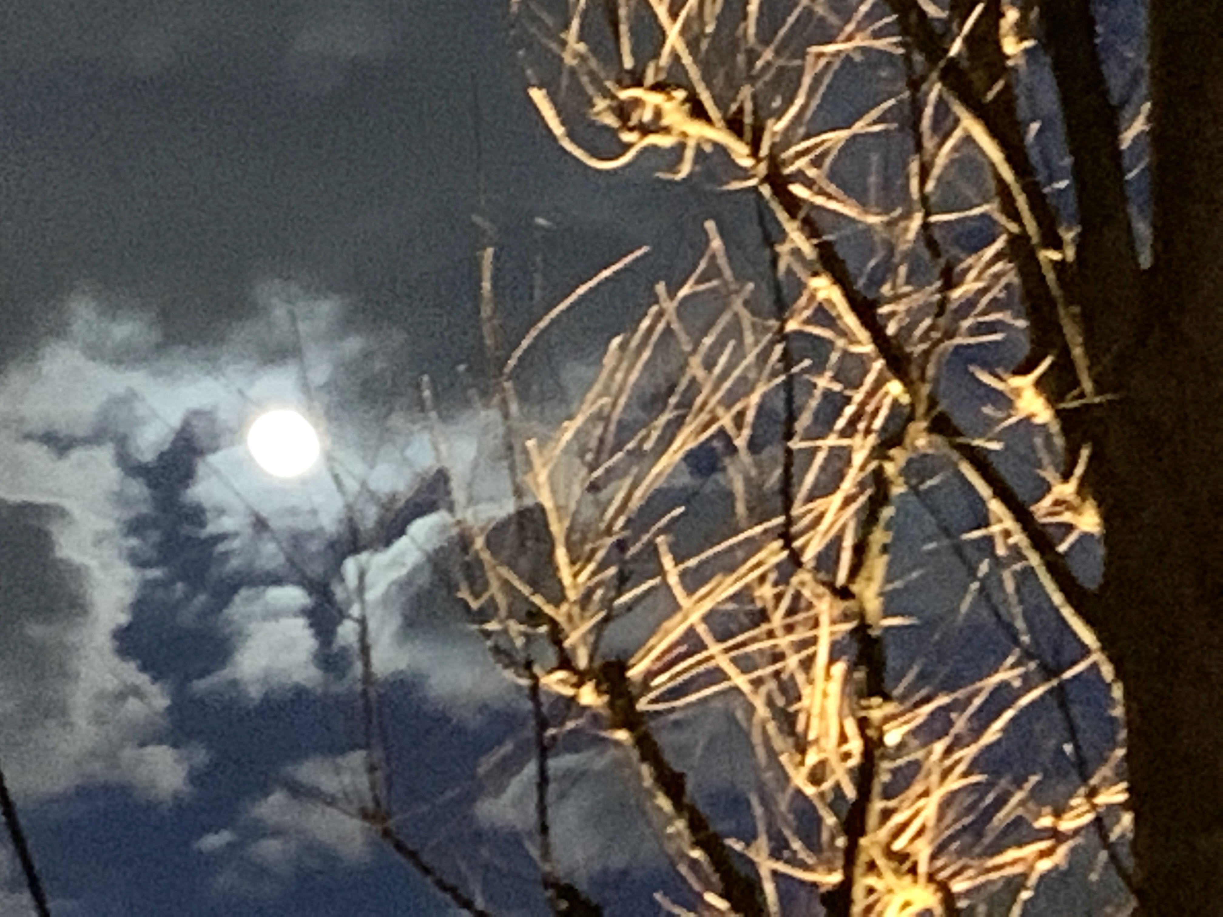 一瞬綺麗なお月様🌕と筋トレ