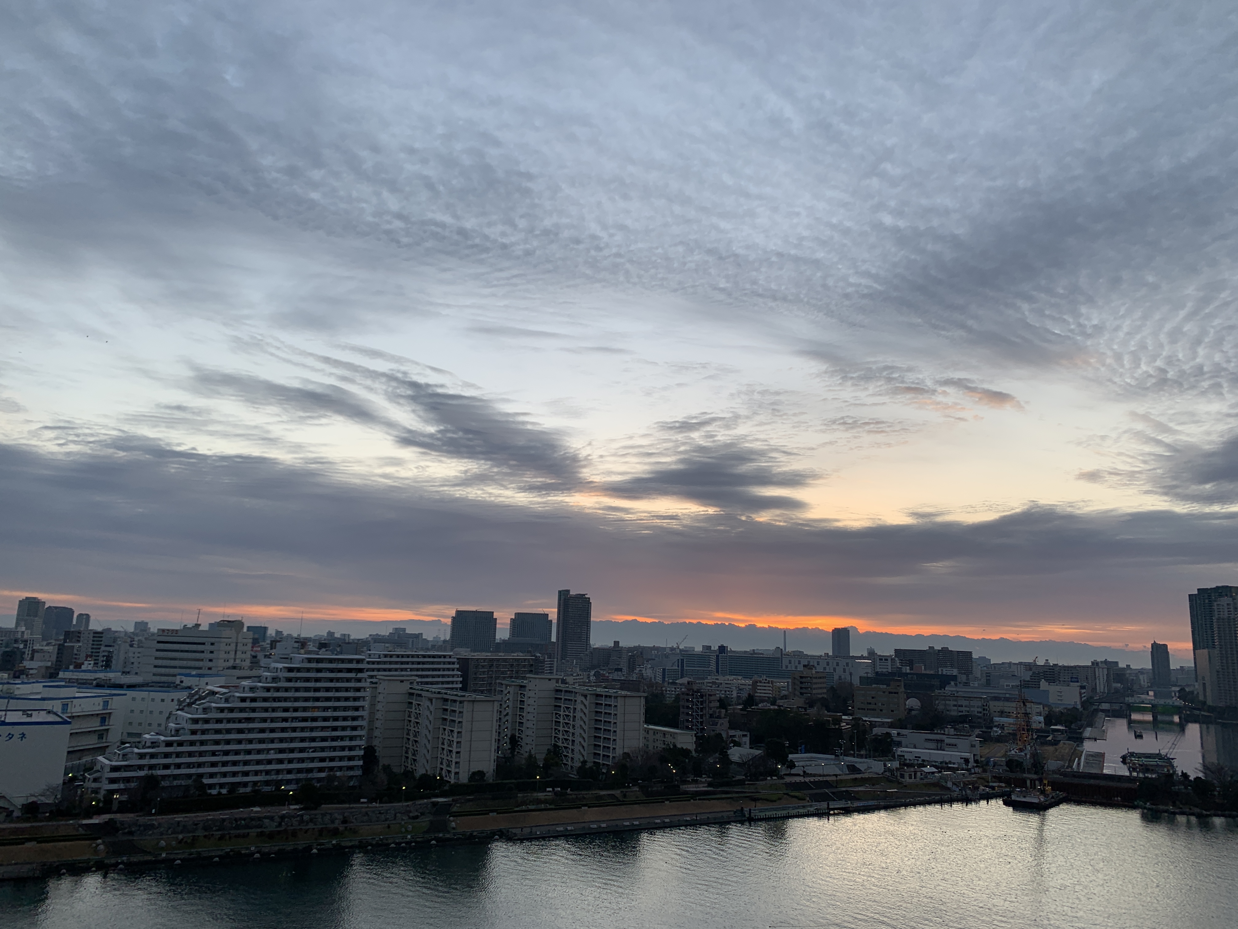 朝雲が楽しい朝🕊「自分の気持ち」