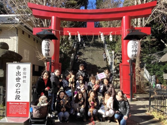 ワンワン初詣　その１⛩