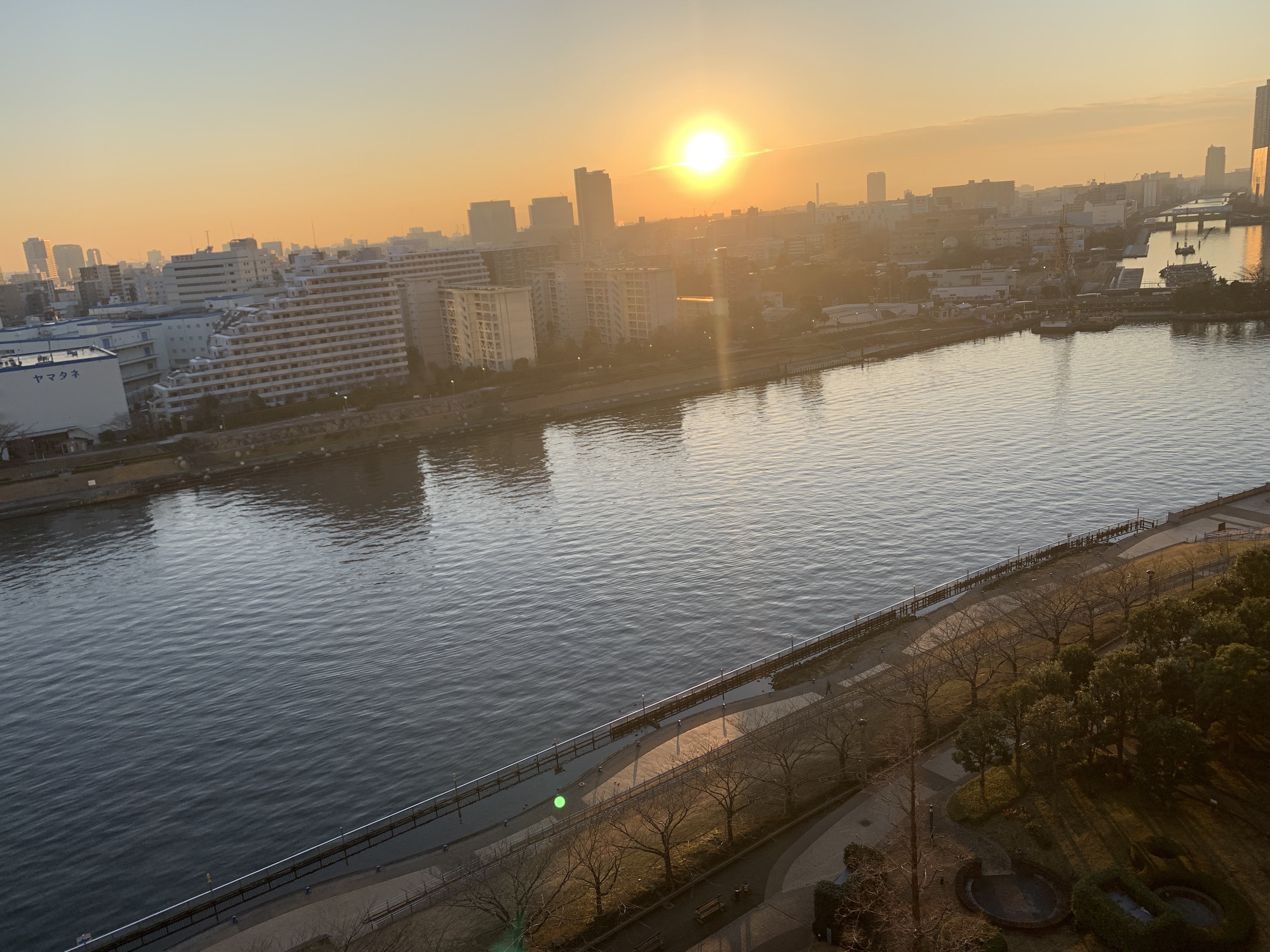 ワクワクする朝陽☀️「言葉が世界を作っている」