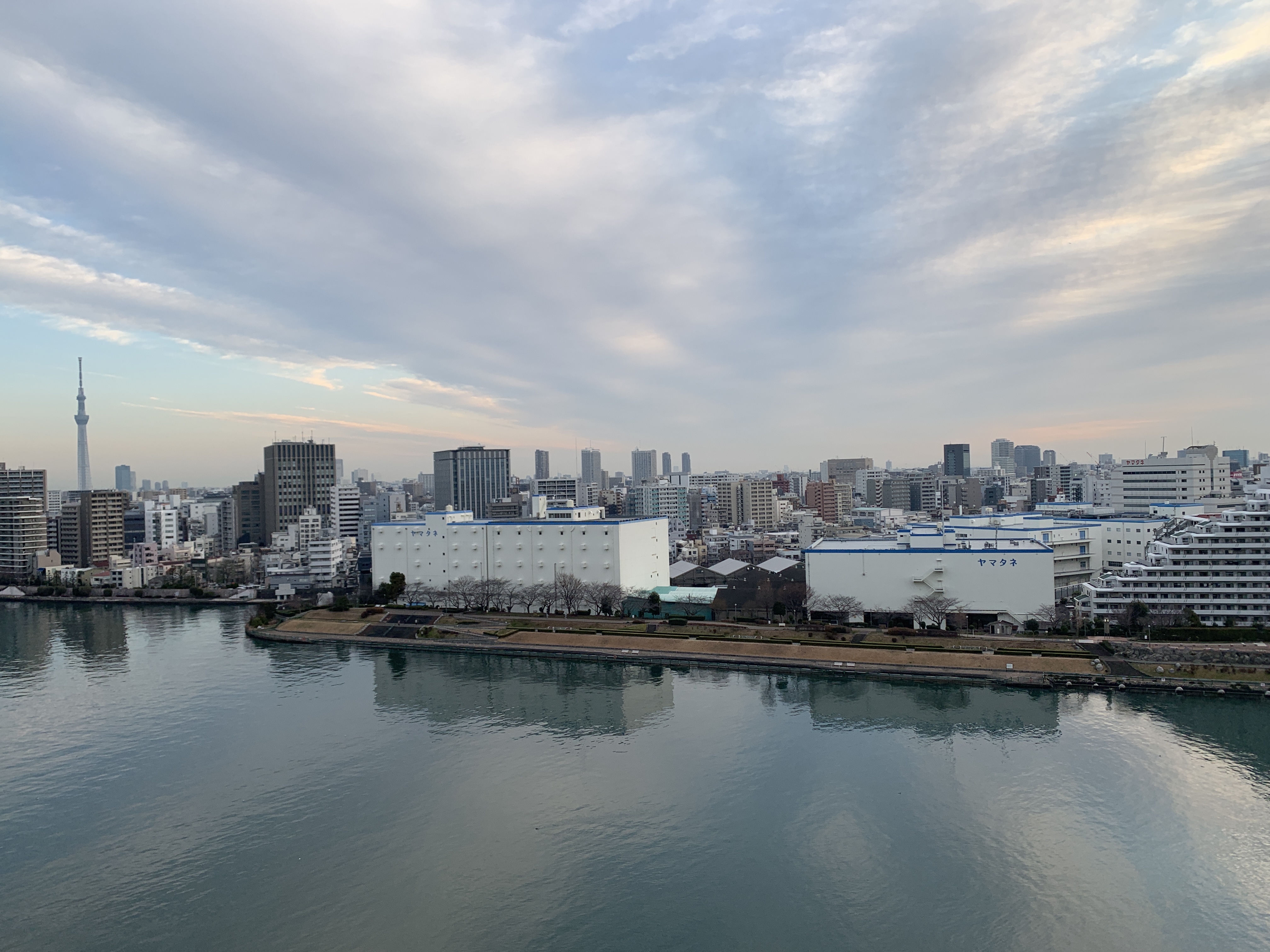 雲に吸い込まれそうな朝「タイミング」☁️