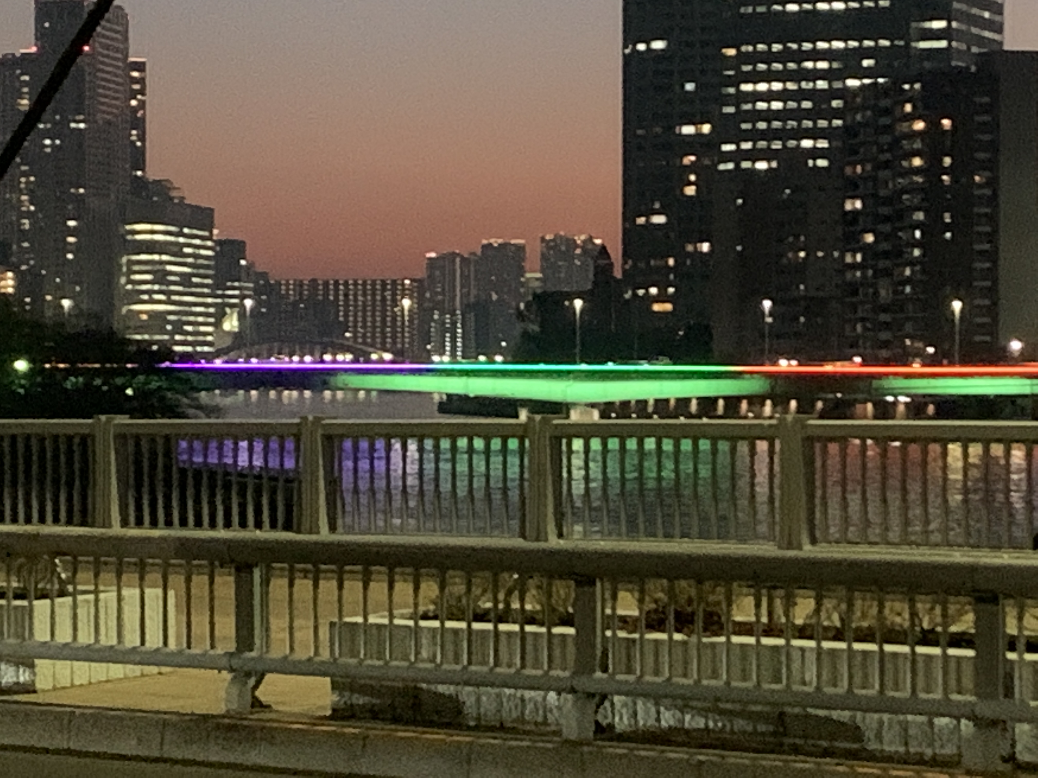 佃大橋・永代橋がライトアップ