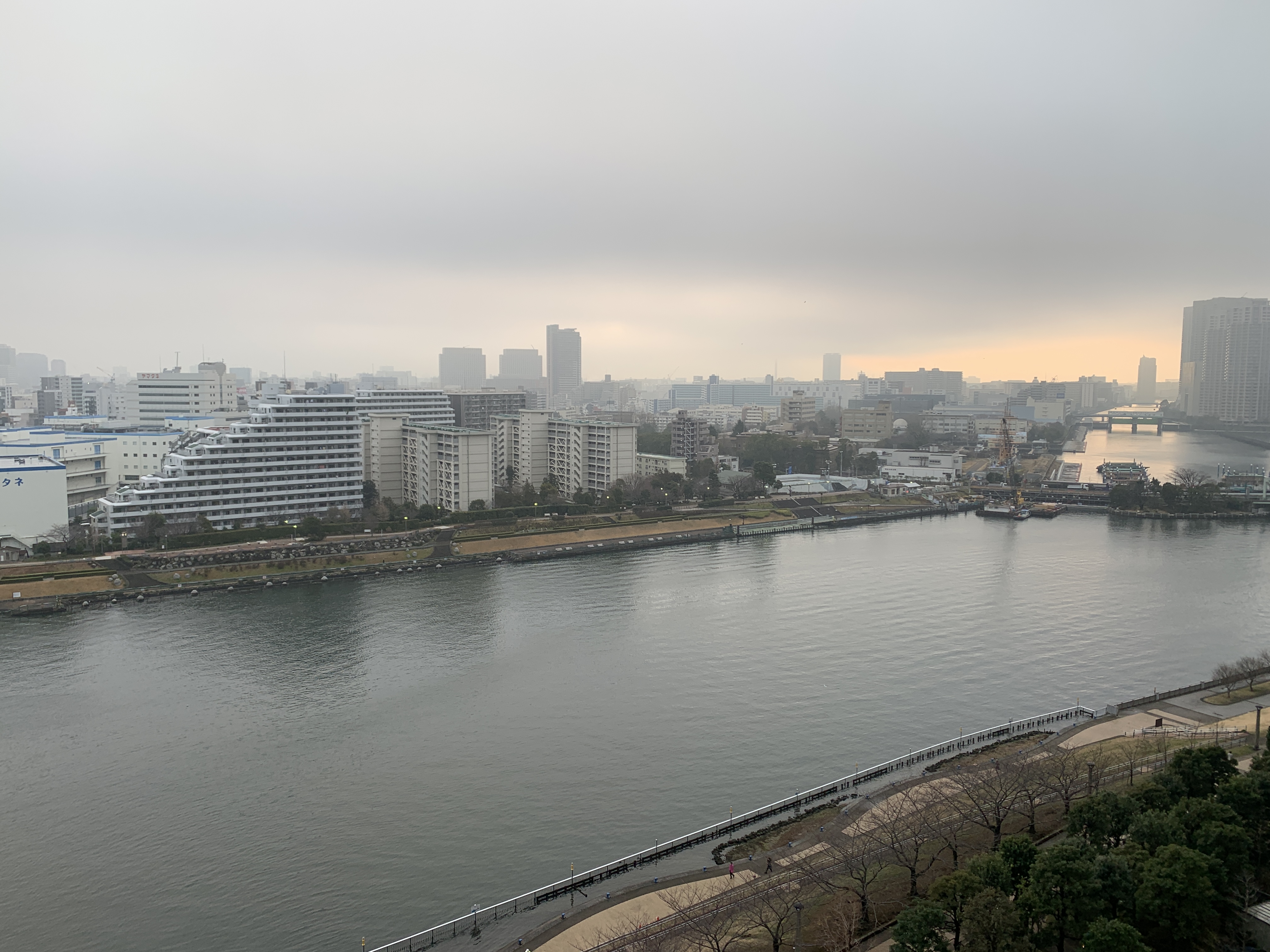 真っ白な朝「行動あるのみ」⛅️