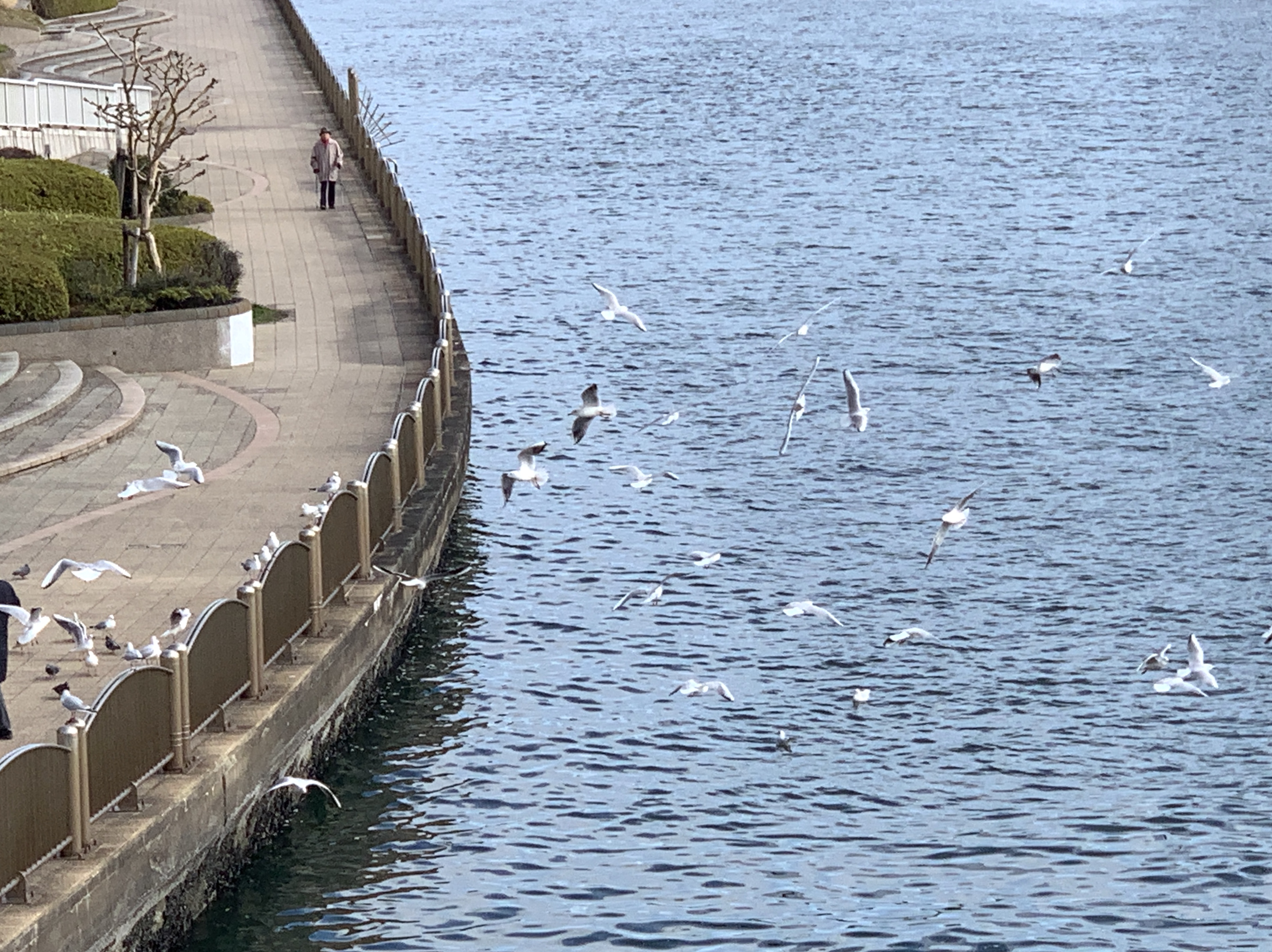 楽しい徒歩通勤🕊