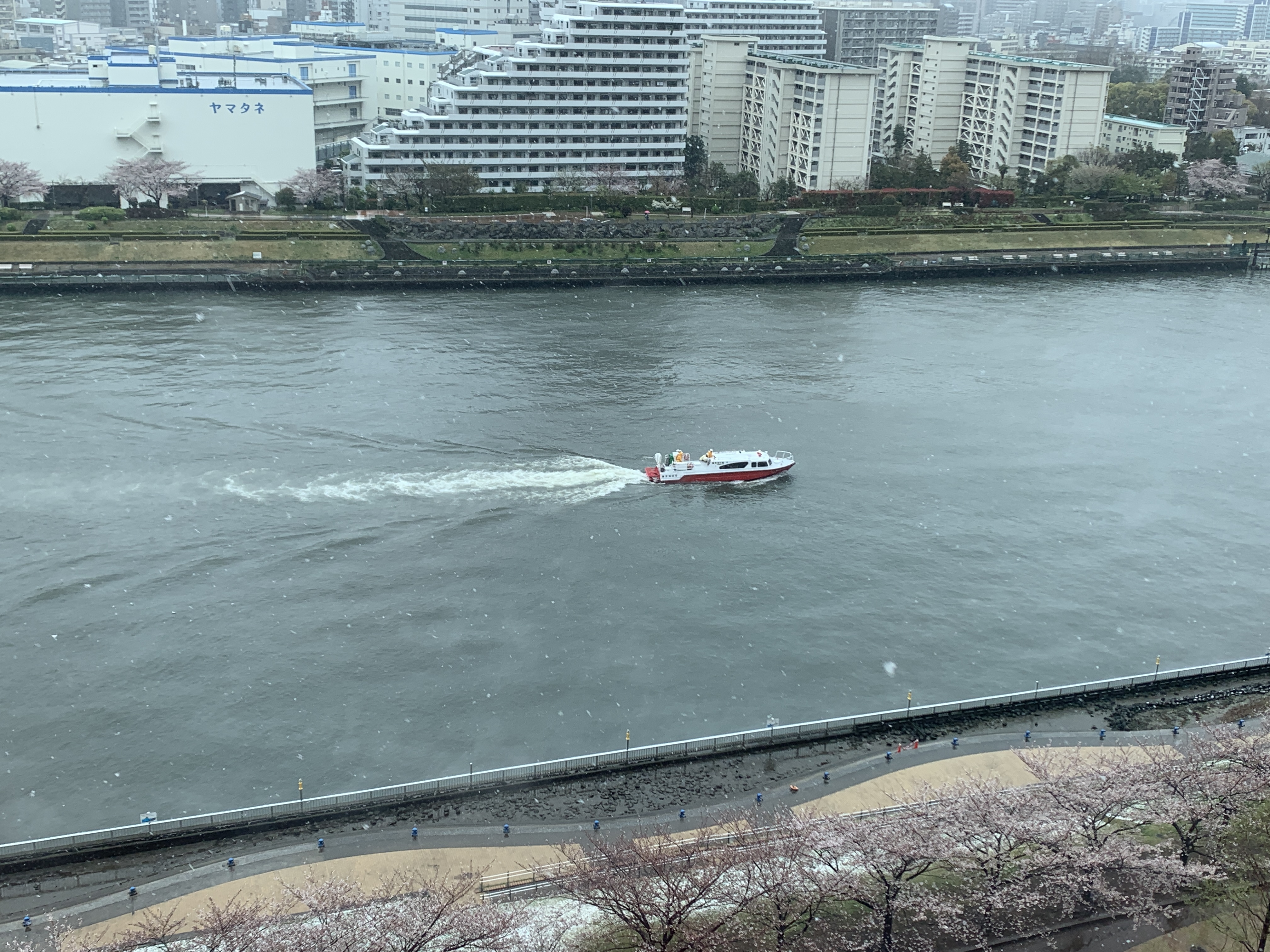 大雪の中一隻の船🚢