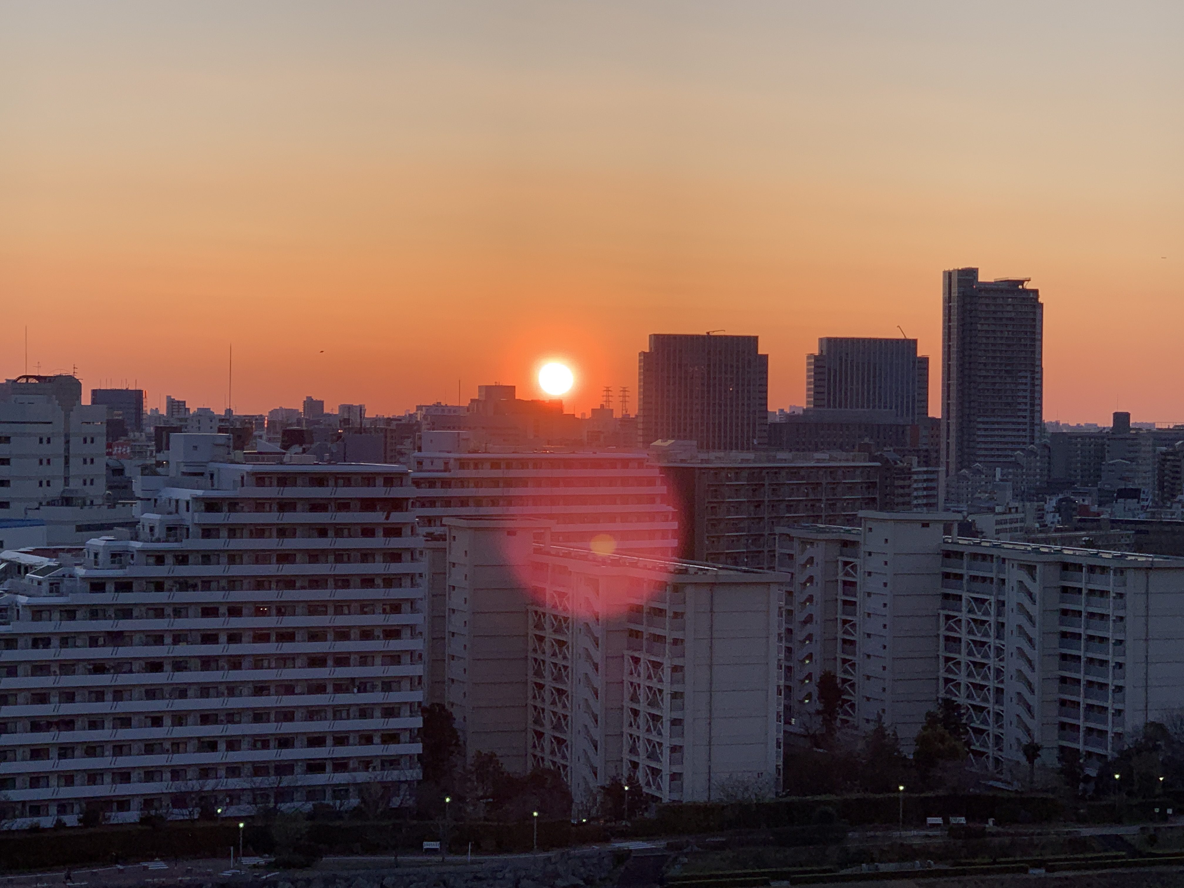 なんて綺麗な朝陽☀️