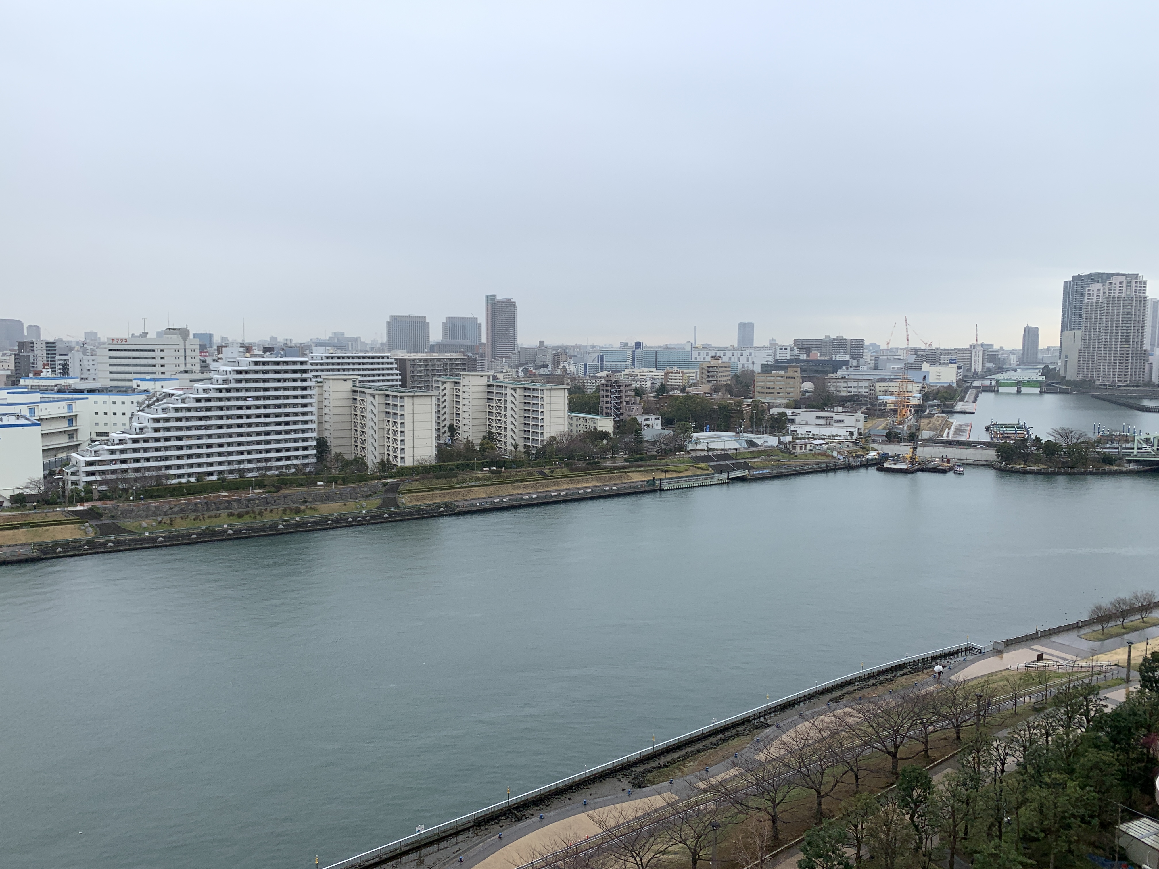 空が真っ白「言葉は自分自身」